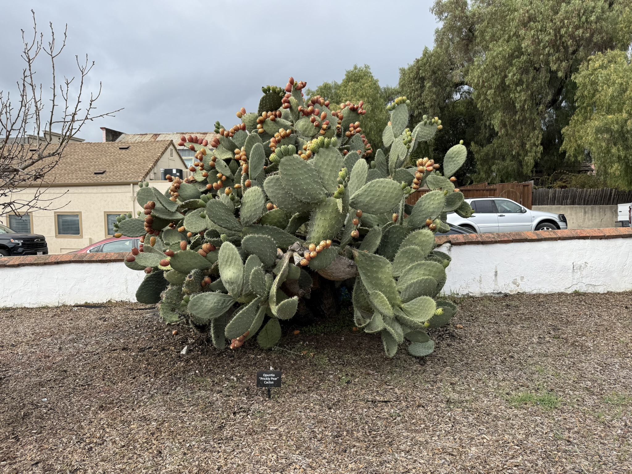 San Juan Bautista State Historic Park