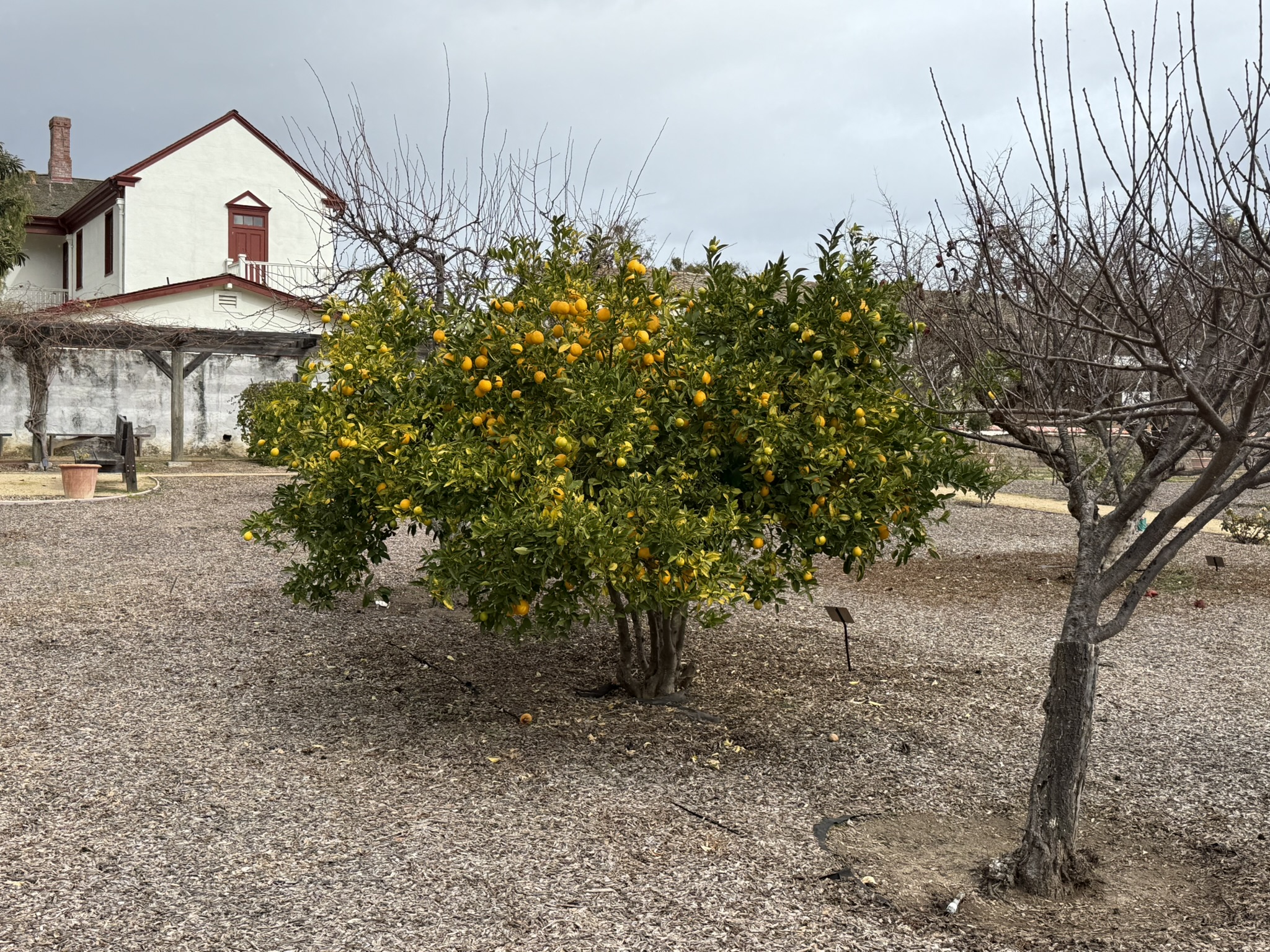 San Juan Bautista State Historic Park