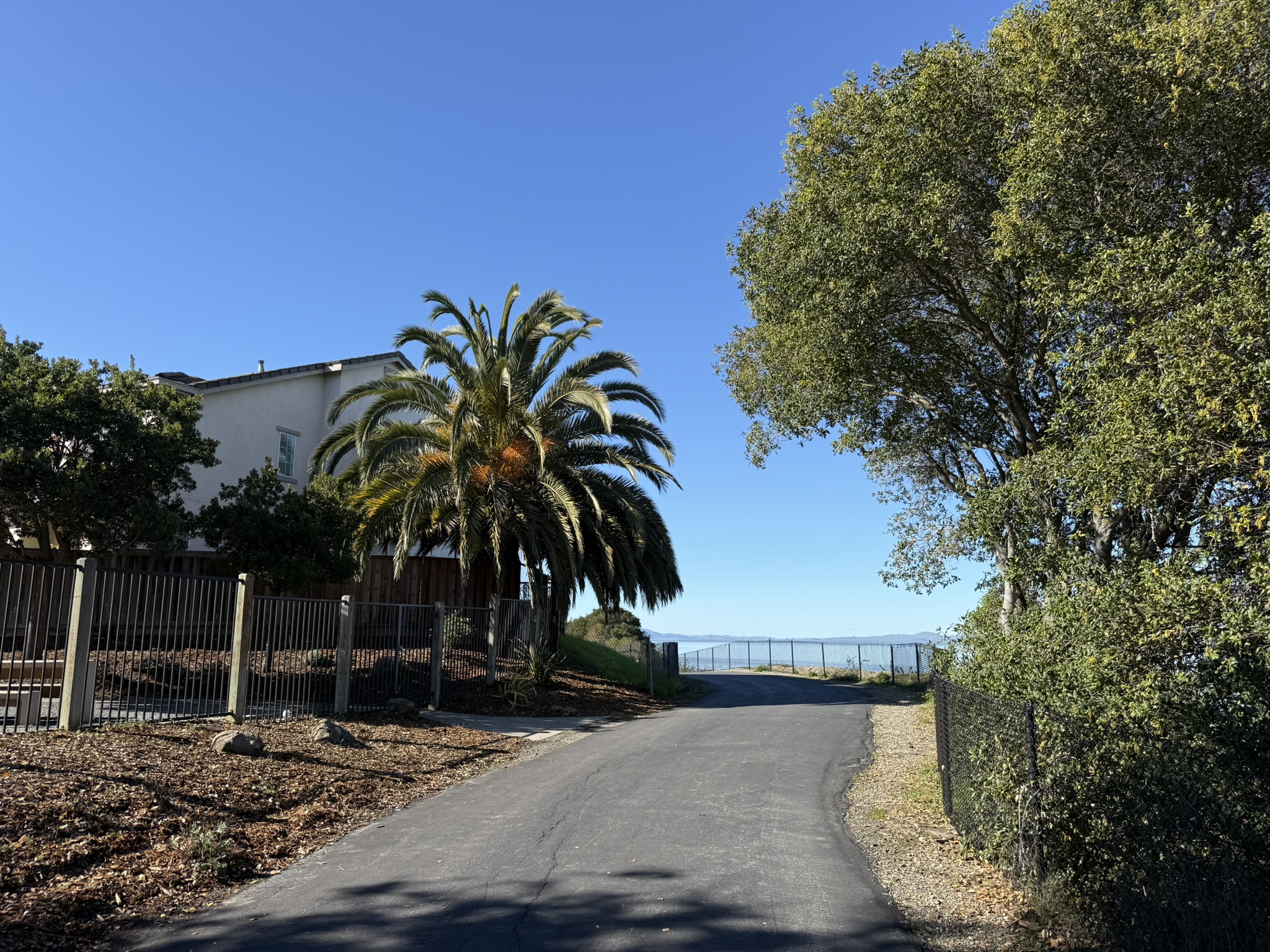 San Pablo Bay Regional Shoreline Trail