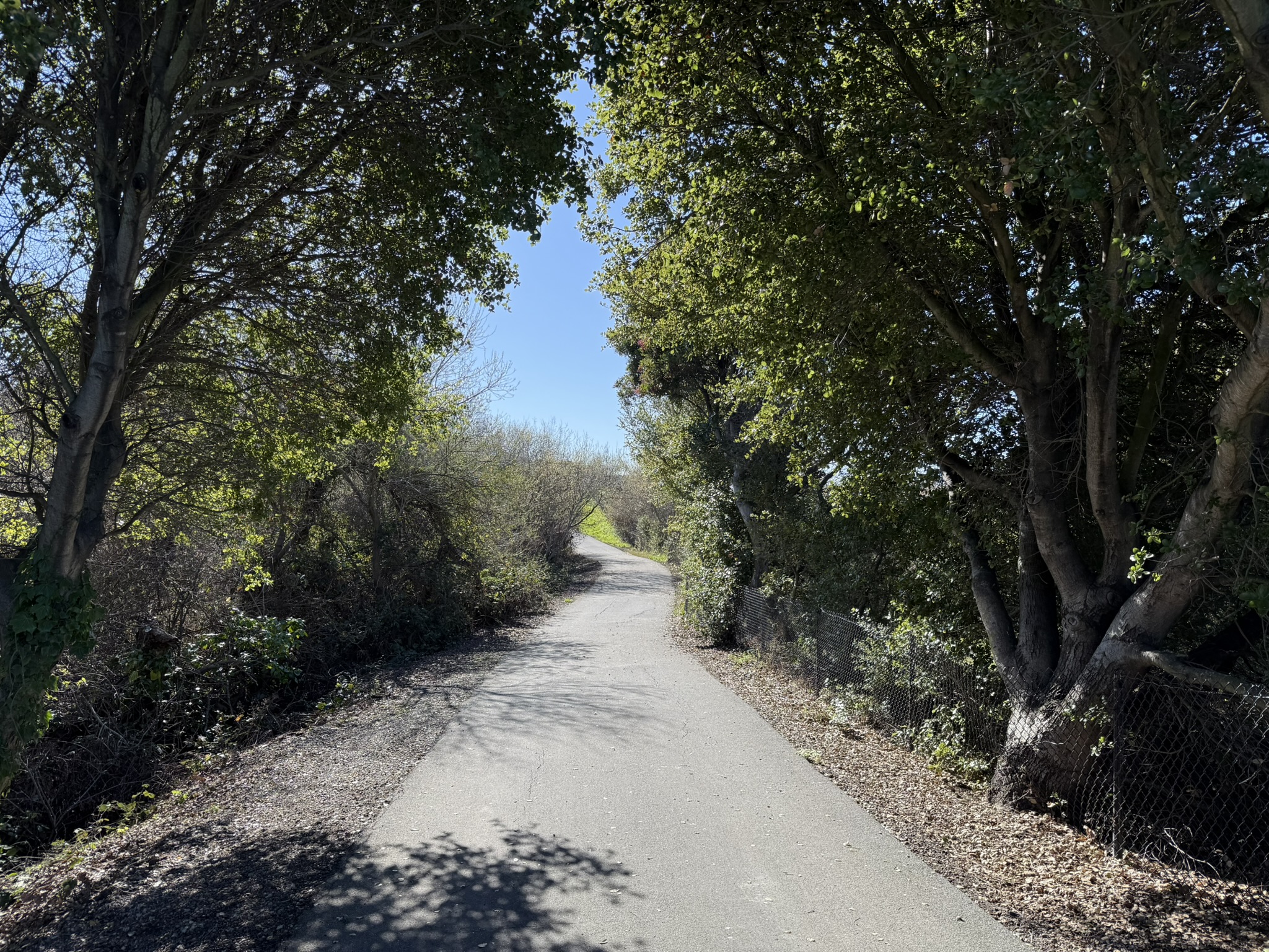 San Pablo Bay Regional Shoreline Trail