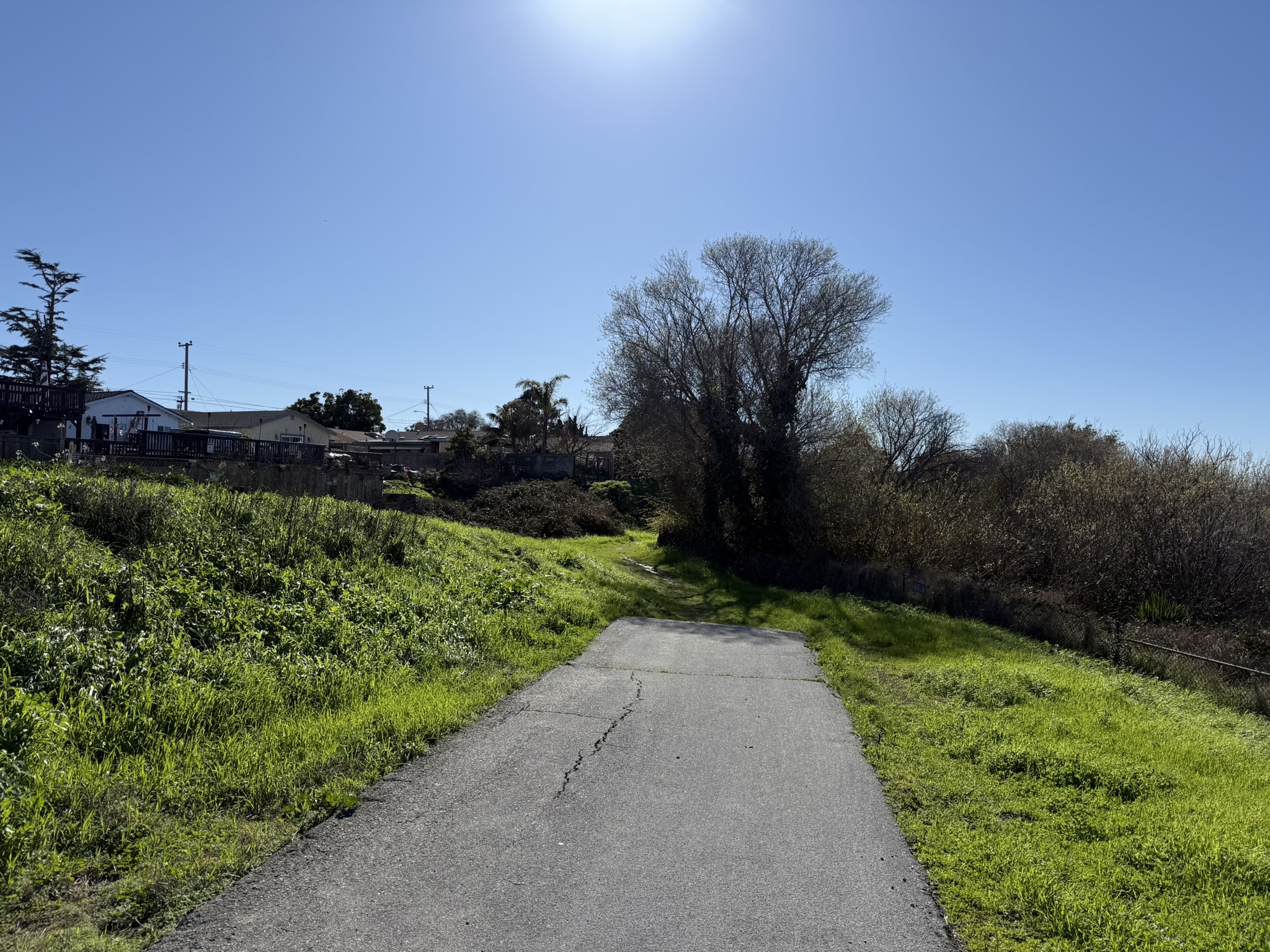 San Pablo Bay Regional Shoreline Trail