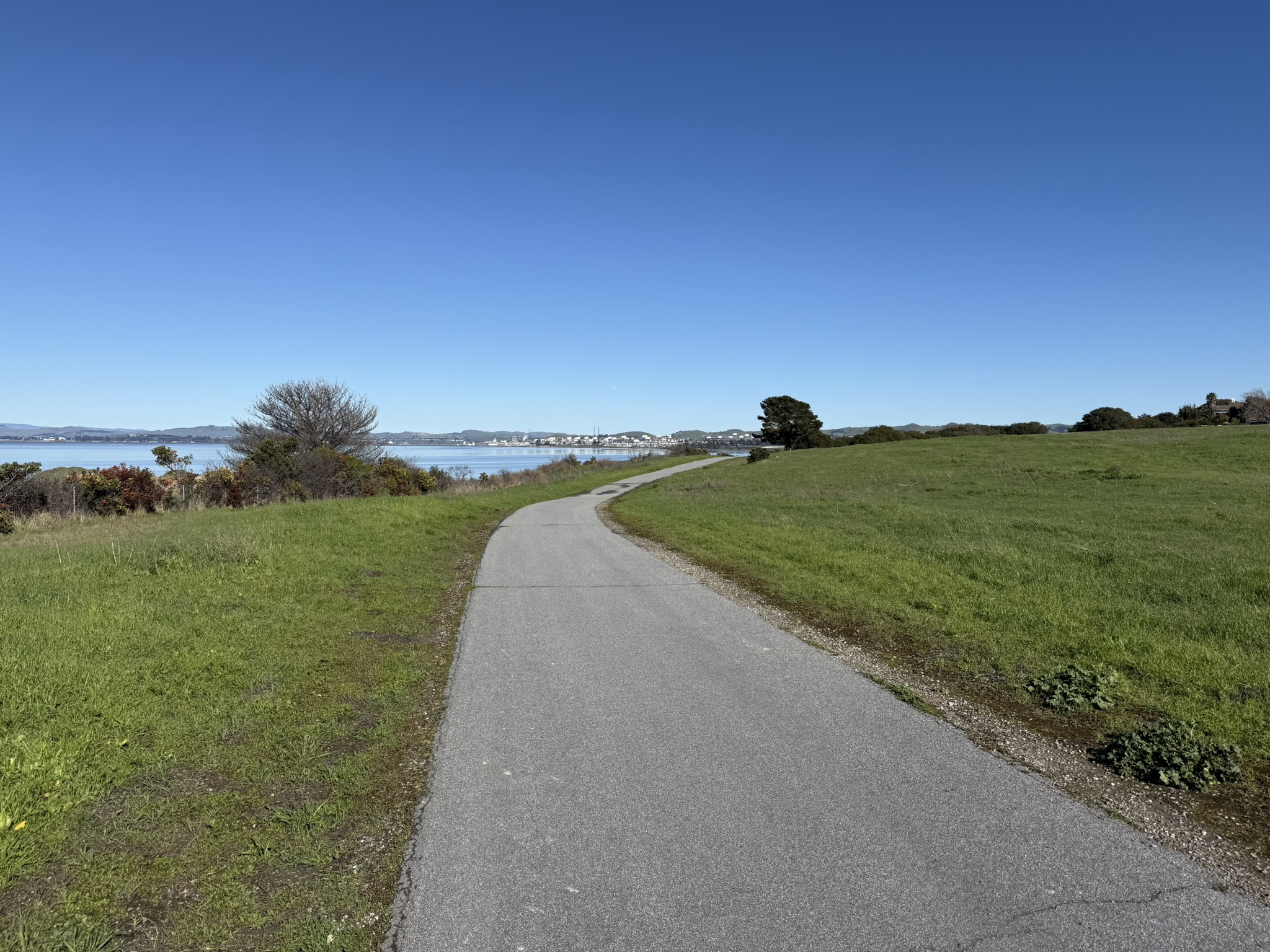 San Pablo Bay Regional Shoreline Trail