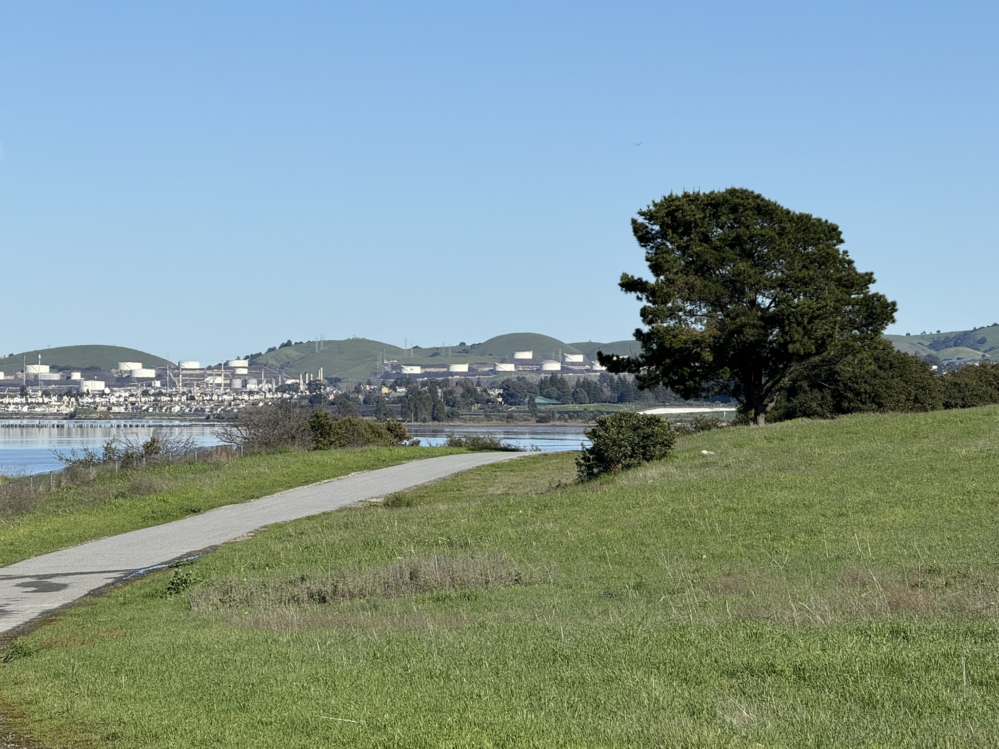 San Pablo Bay Regional Shoreline Trail