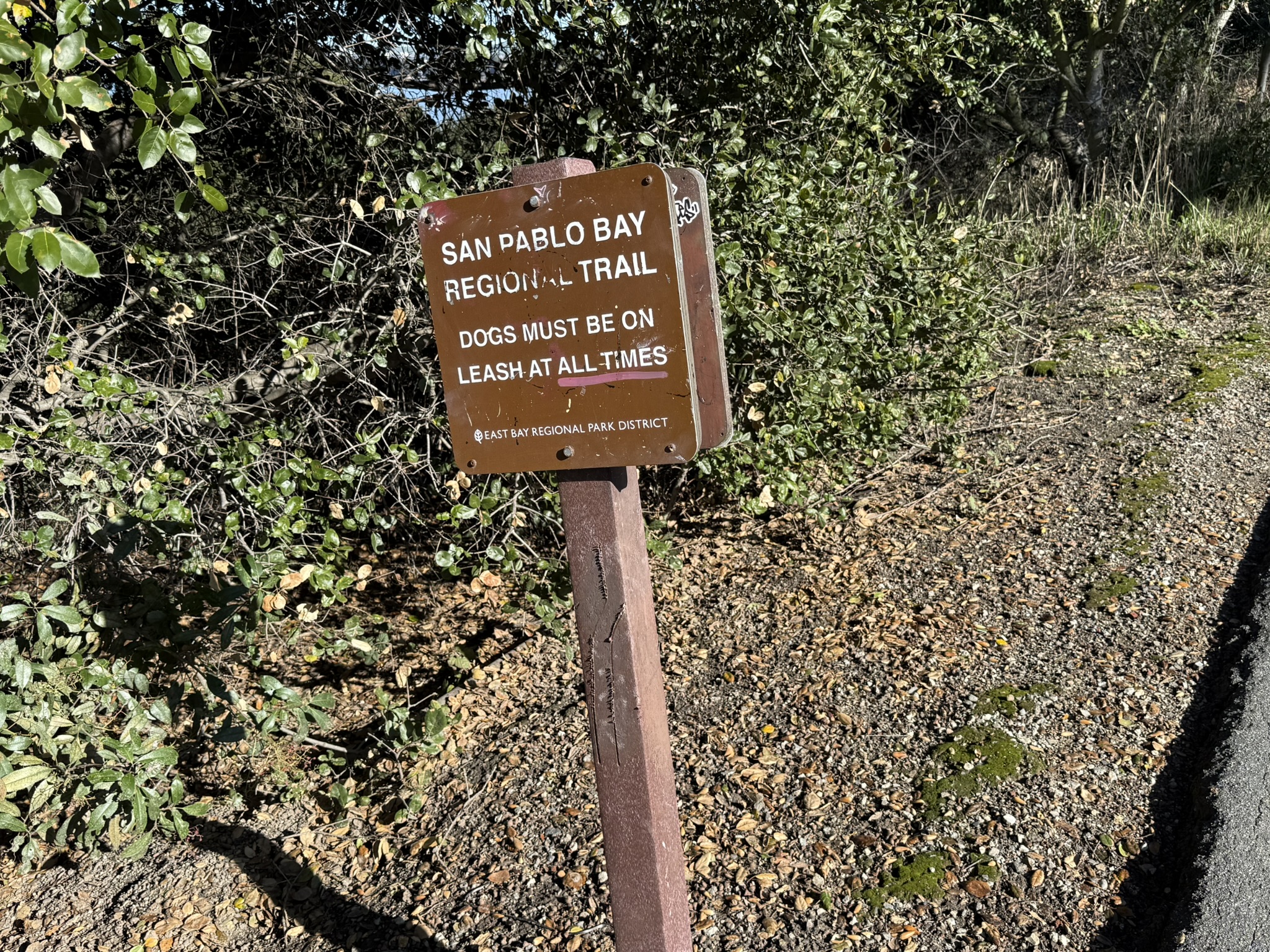 San Pablo Bay Regional Shoreline Trail