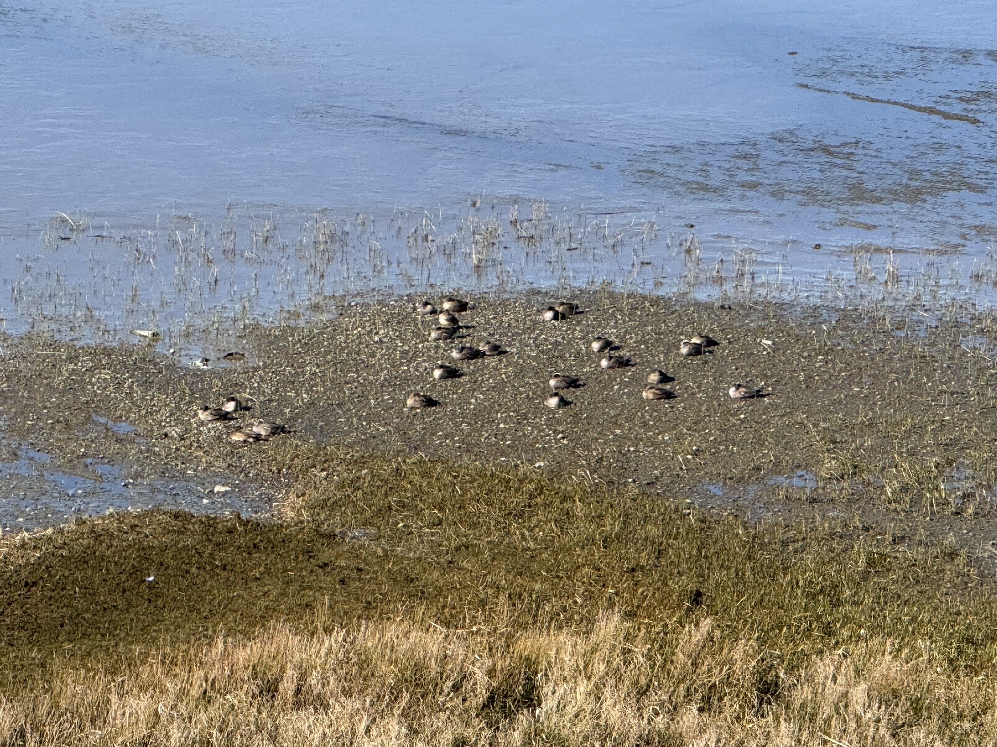 San Pablo Bay Regional Shoreline Trail