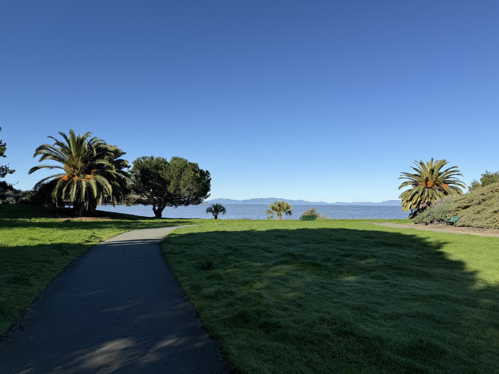 San Pablo Bay Regional Shoreline Trail