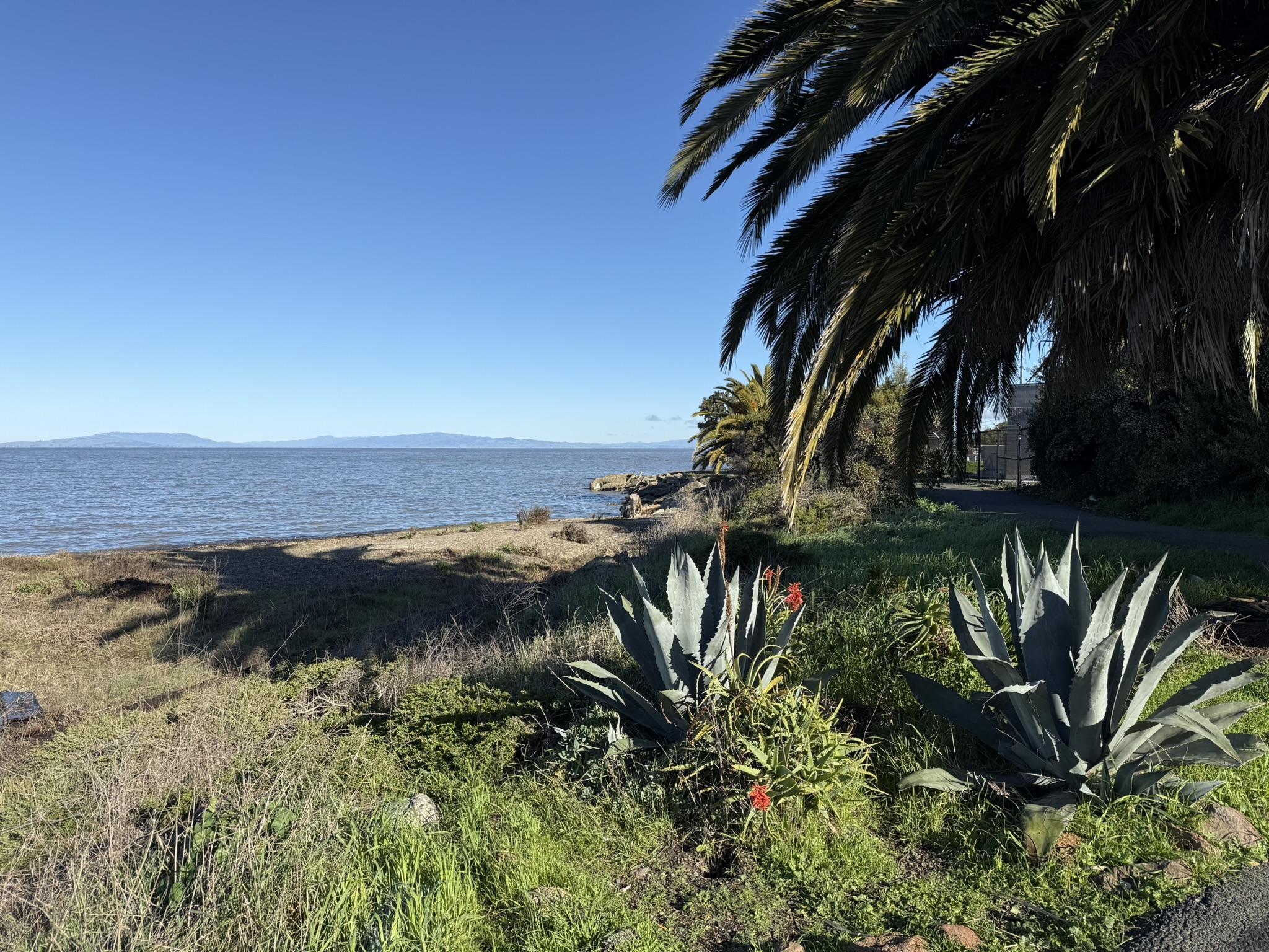 San Pablo Bay Regional Shoreline Trail