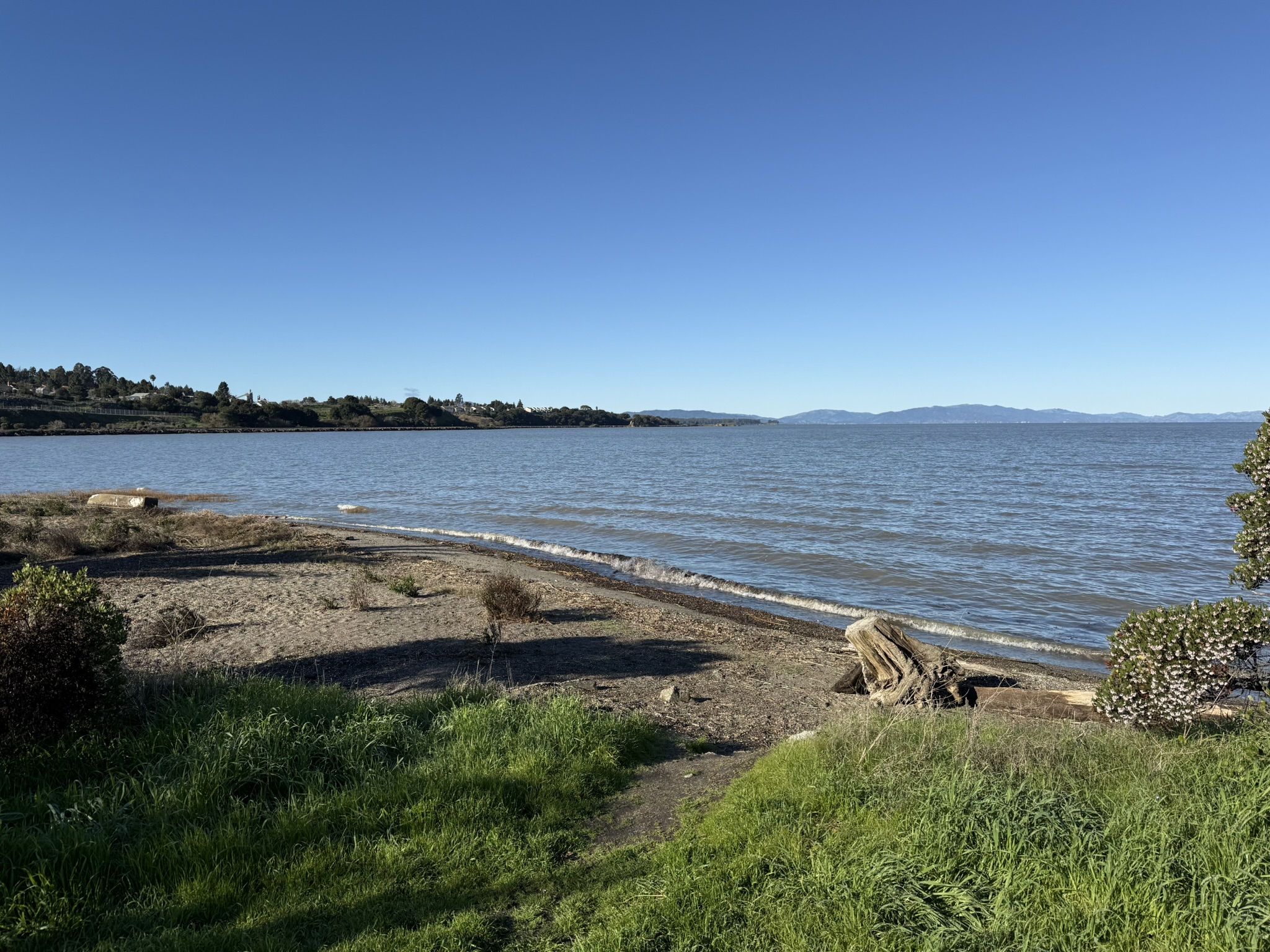 San Pablo Bay Regional Shoreline Trail