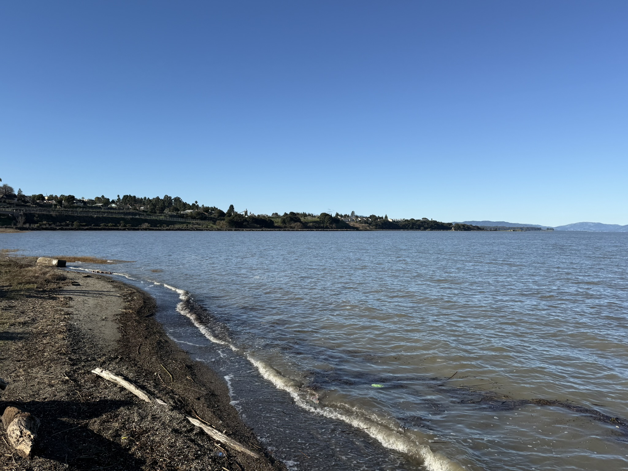 San Pablo Bay Regional Shoreline Trail