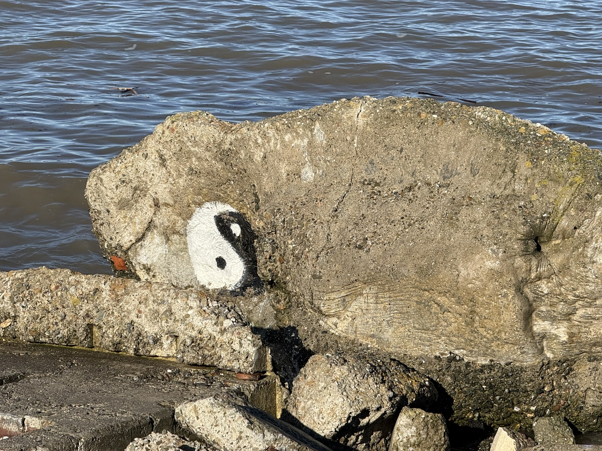 San Pablo Bay Regional Shoreline Trail