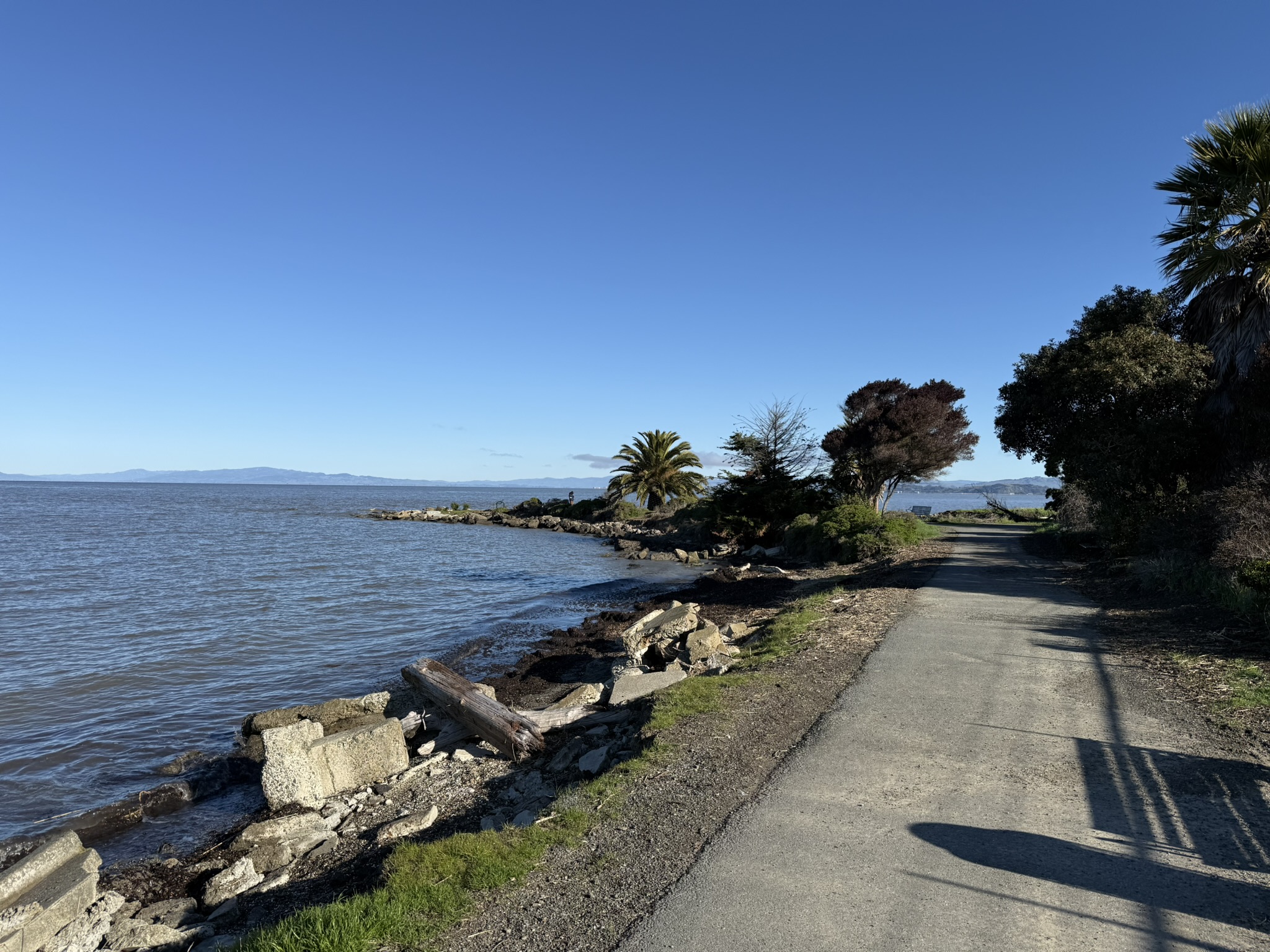 San Pablo Bay Regional Shoreline Trail