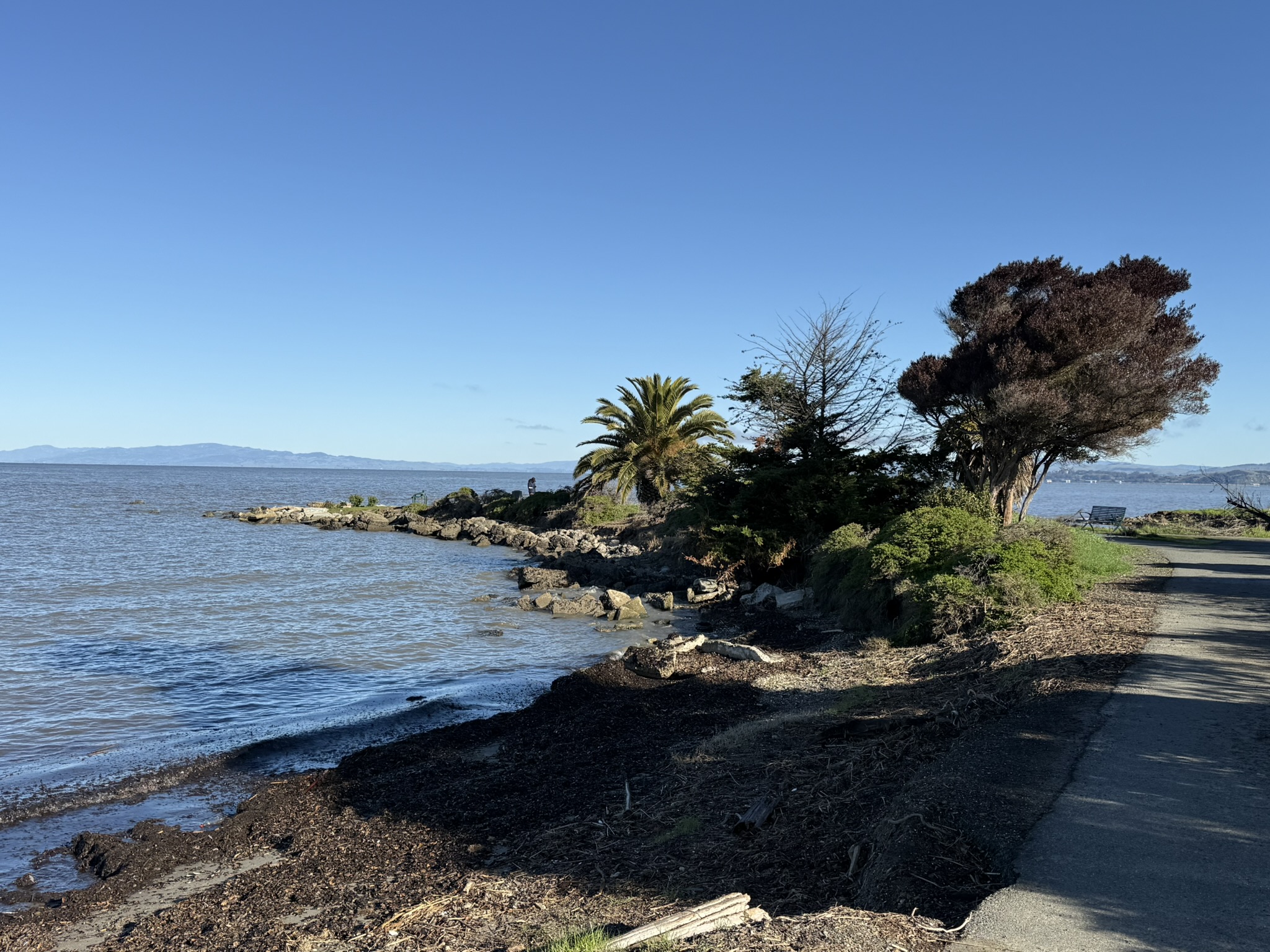 San Pablo Bay Regional Shoreline Trail