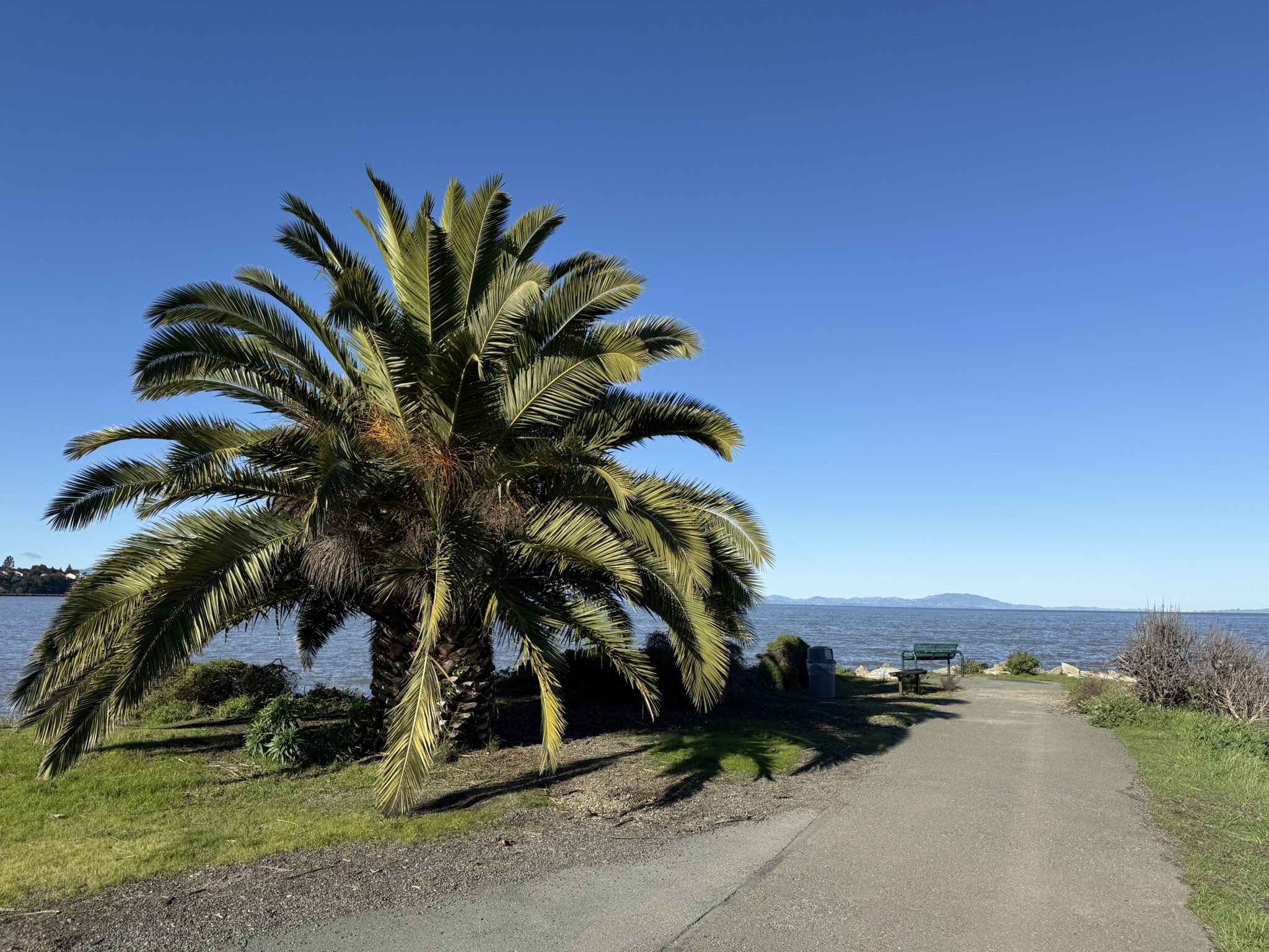 San Pablo Bay Regional Shoreline Trail