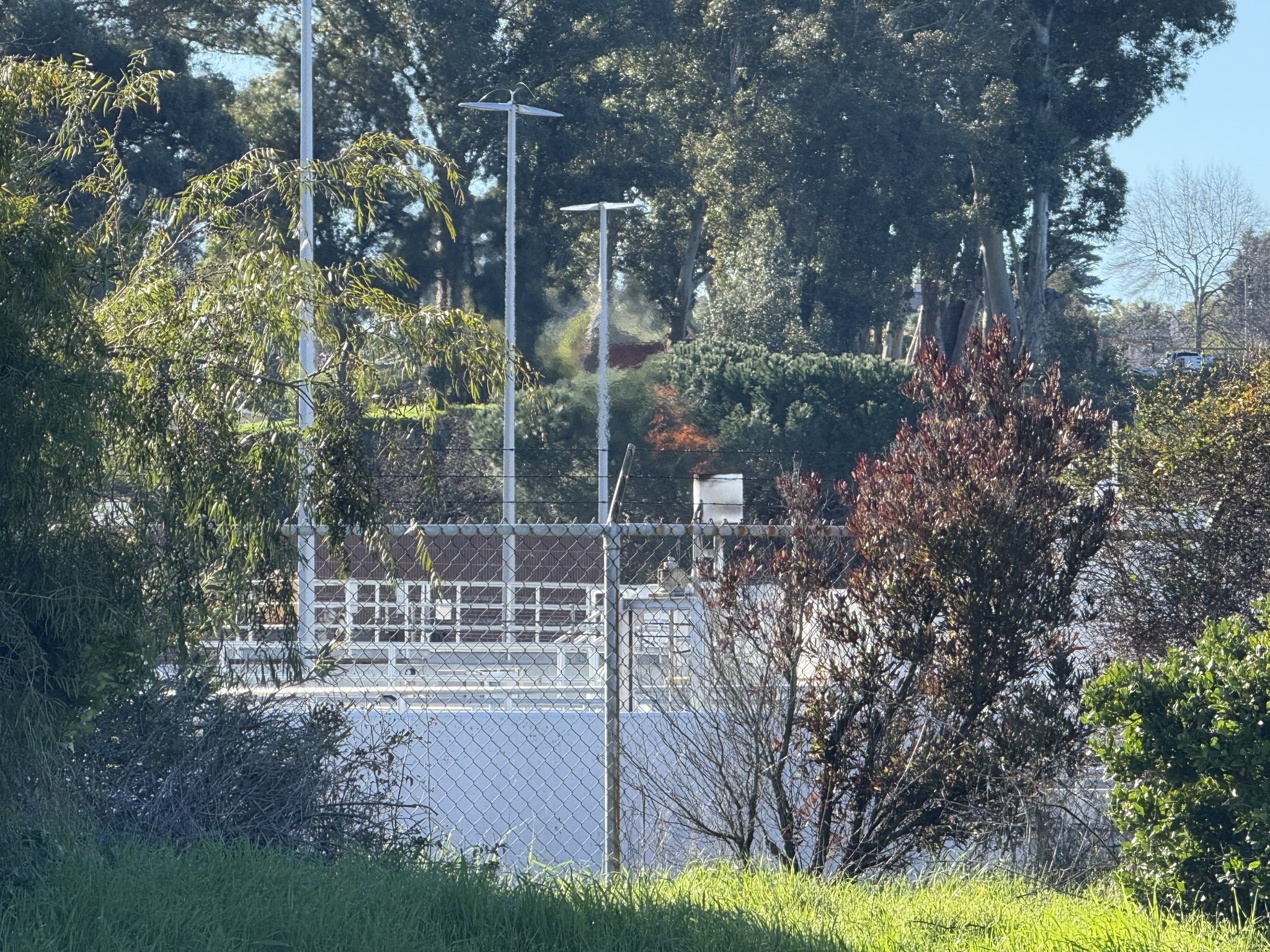 San Pablo Bay Regional Shoreline Trail