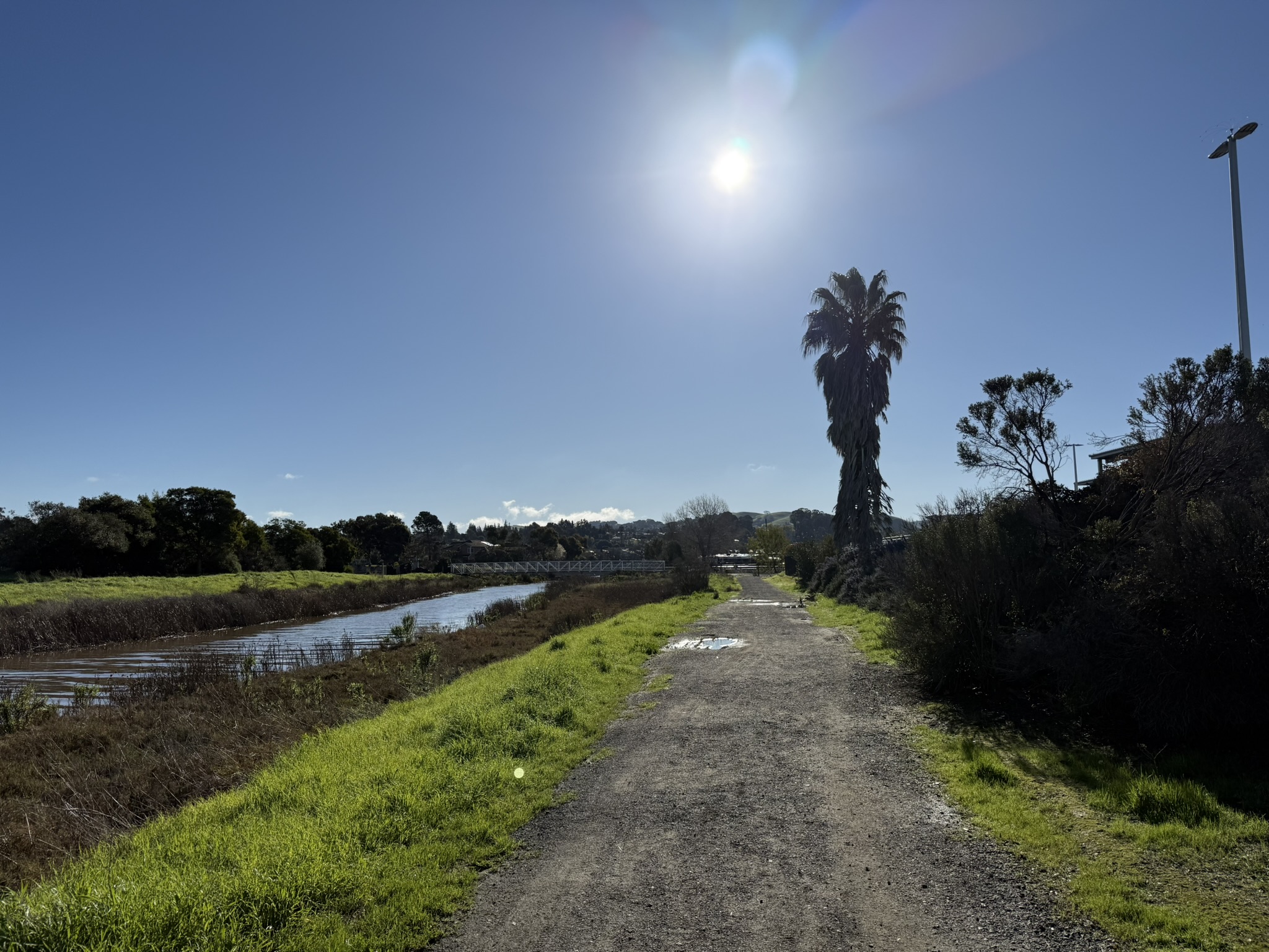 San Pablo Bay Regional Shoreline Trail