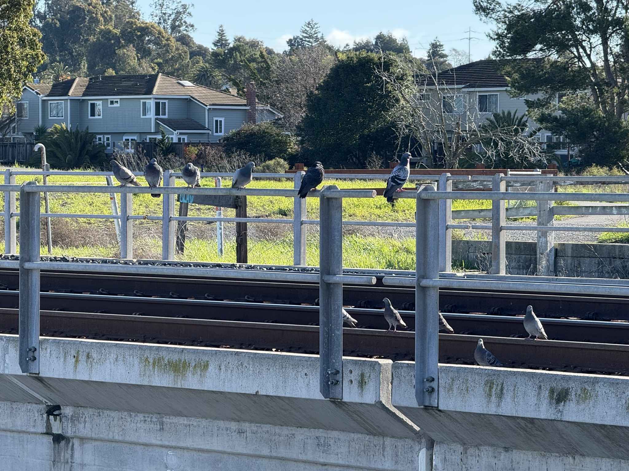 San Pablo Bay Regional Shoreline Trail