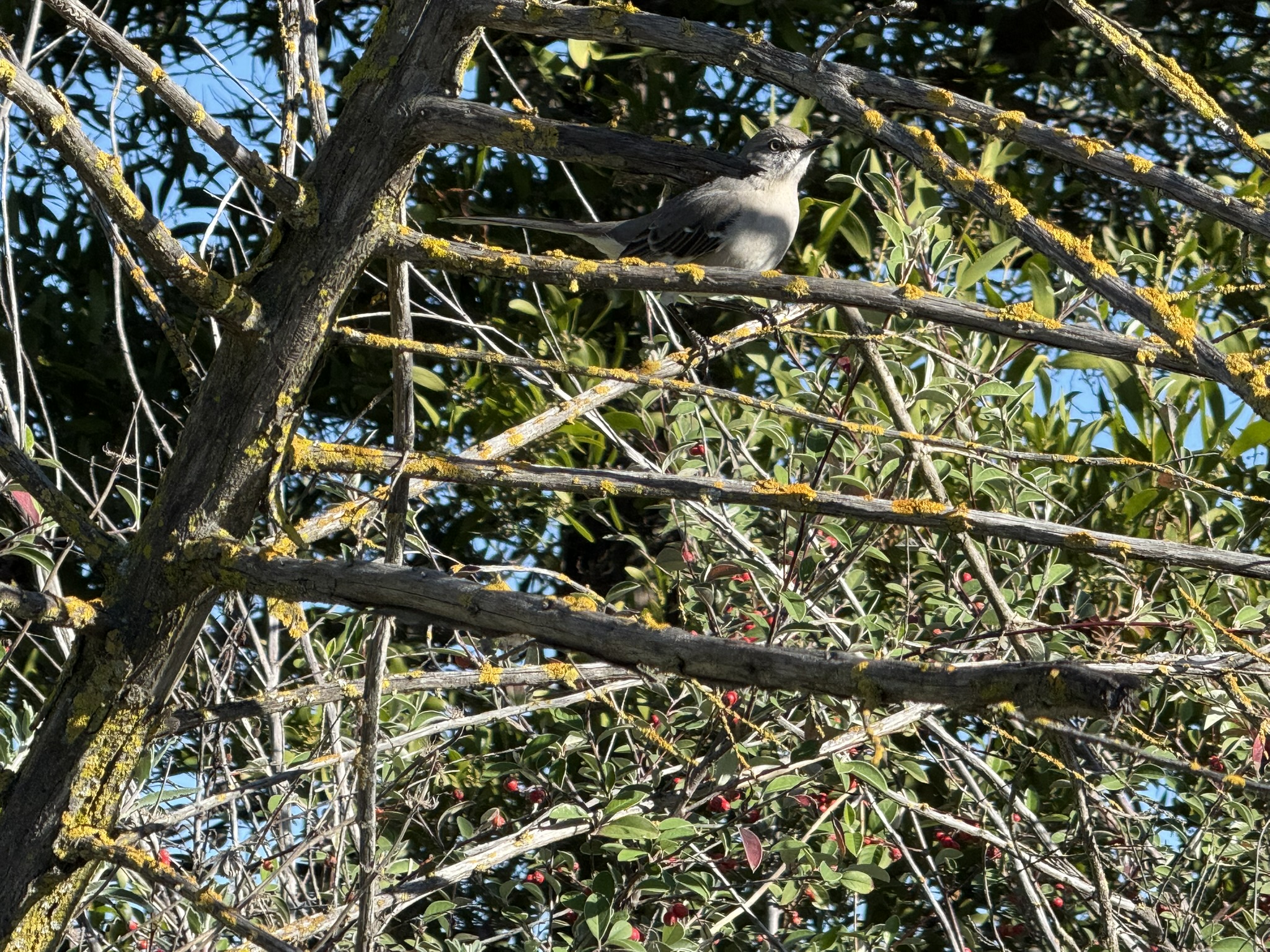 San Pablo Bay Regional Shoreline Trail