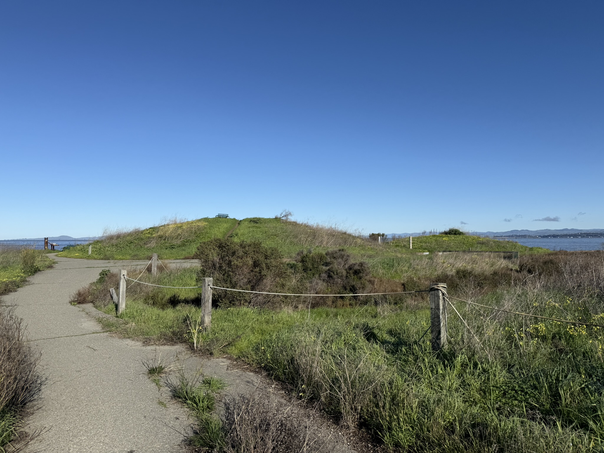 San Pablo Bay Regional Shoreline Trail