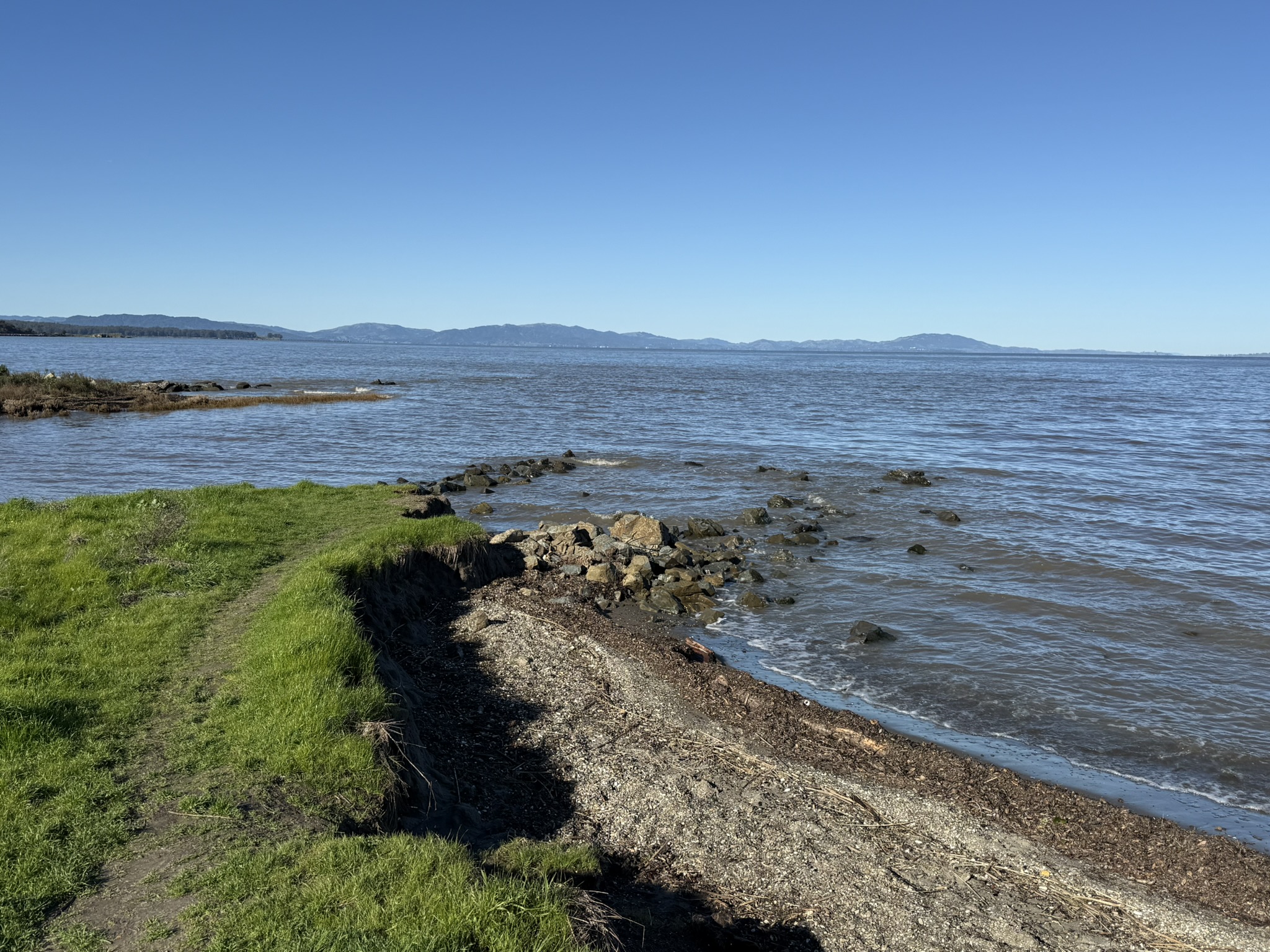 San Pablo Bay Regional Shoreline Trail