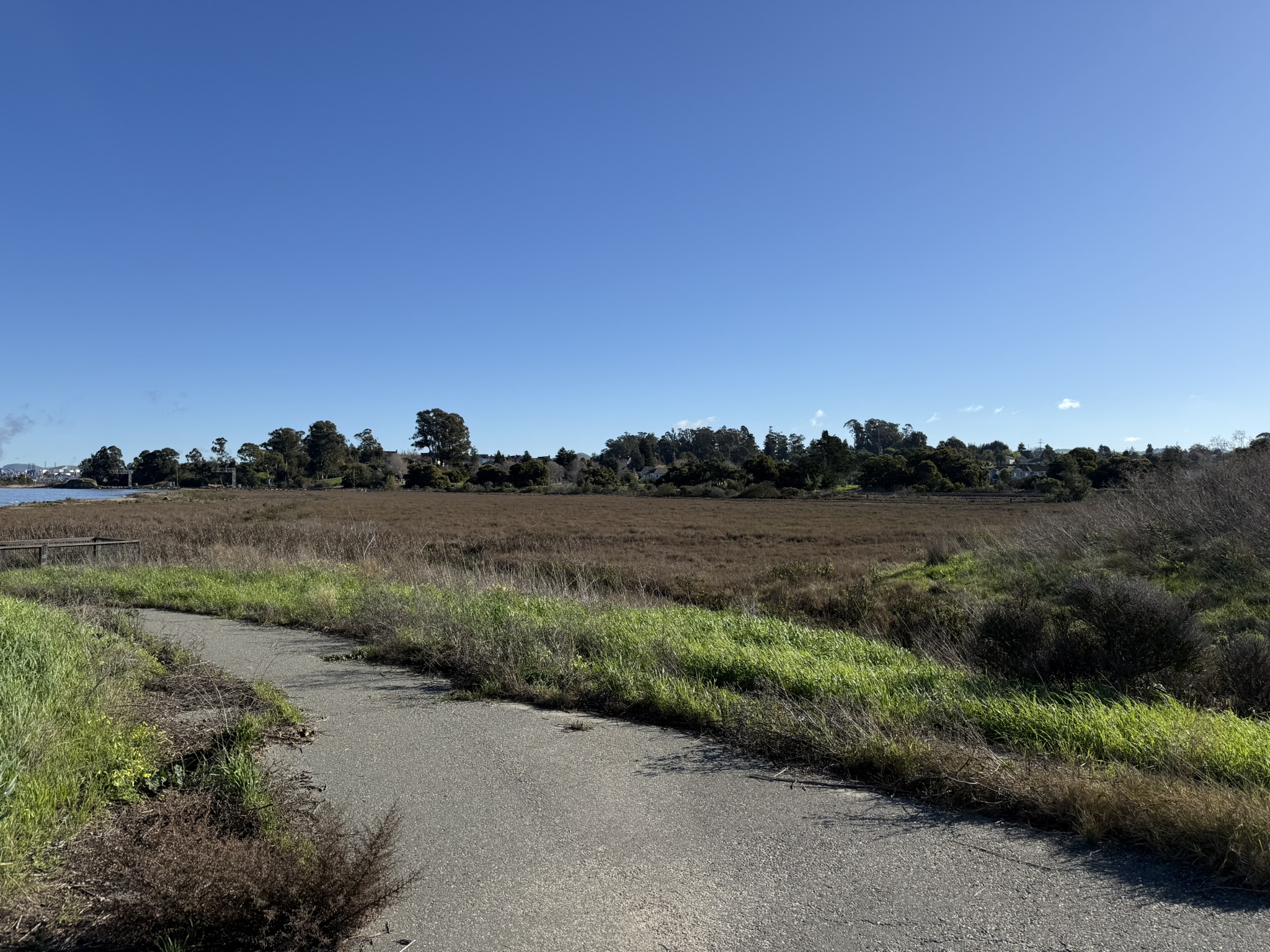 San Pablo Bay Regional Shoreline Trail