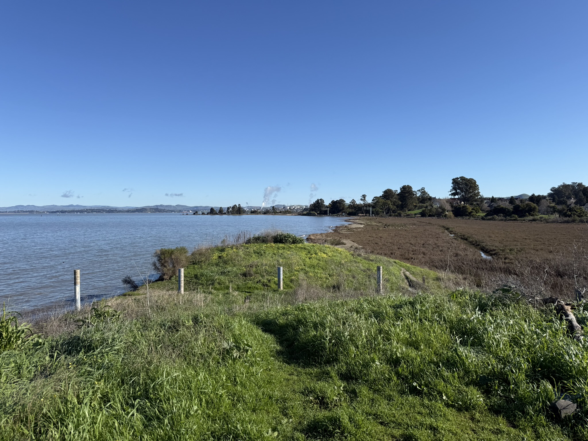 San Pablo Bay Regional Shoreline Trail