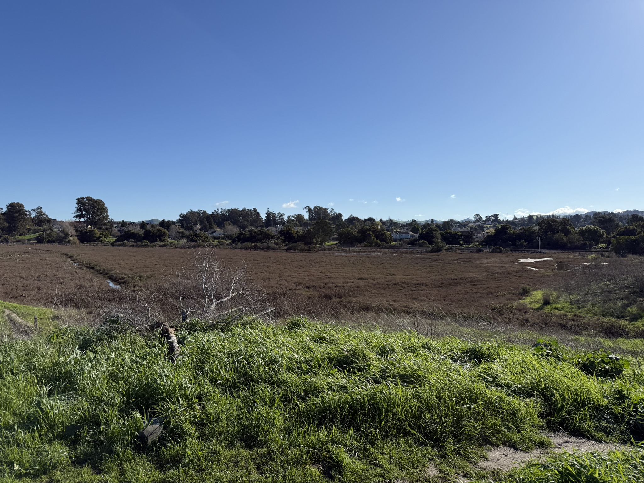 San Pablo Bay Regional Shoreline Trail