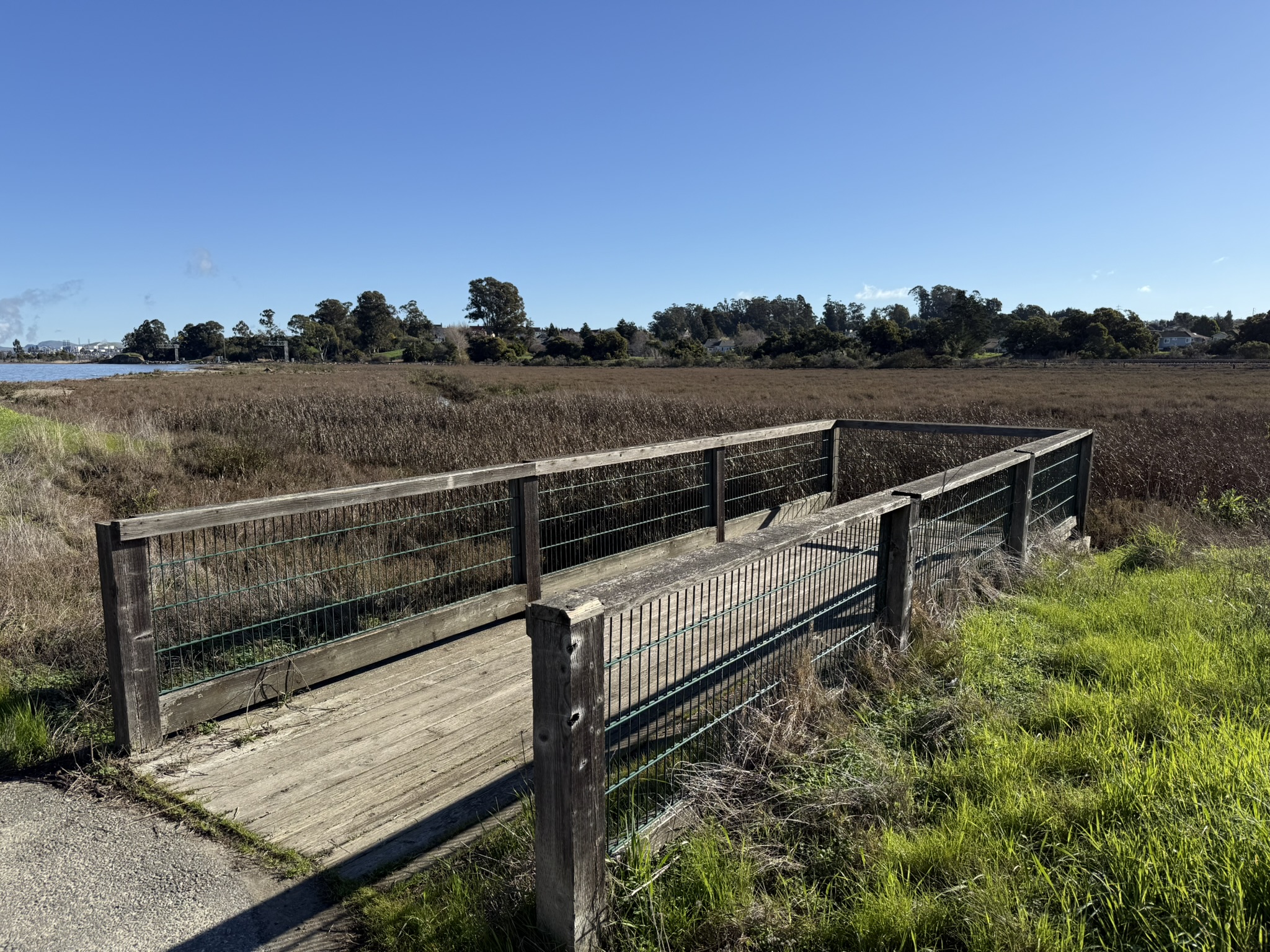 San Pablo Bay Regional Shoreline Trail