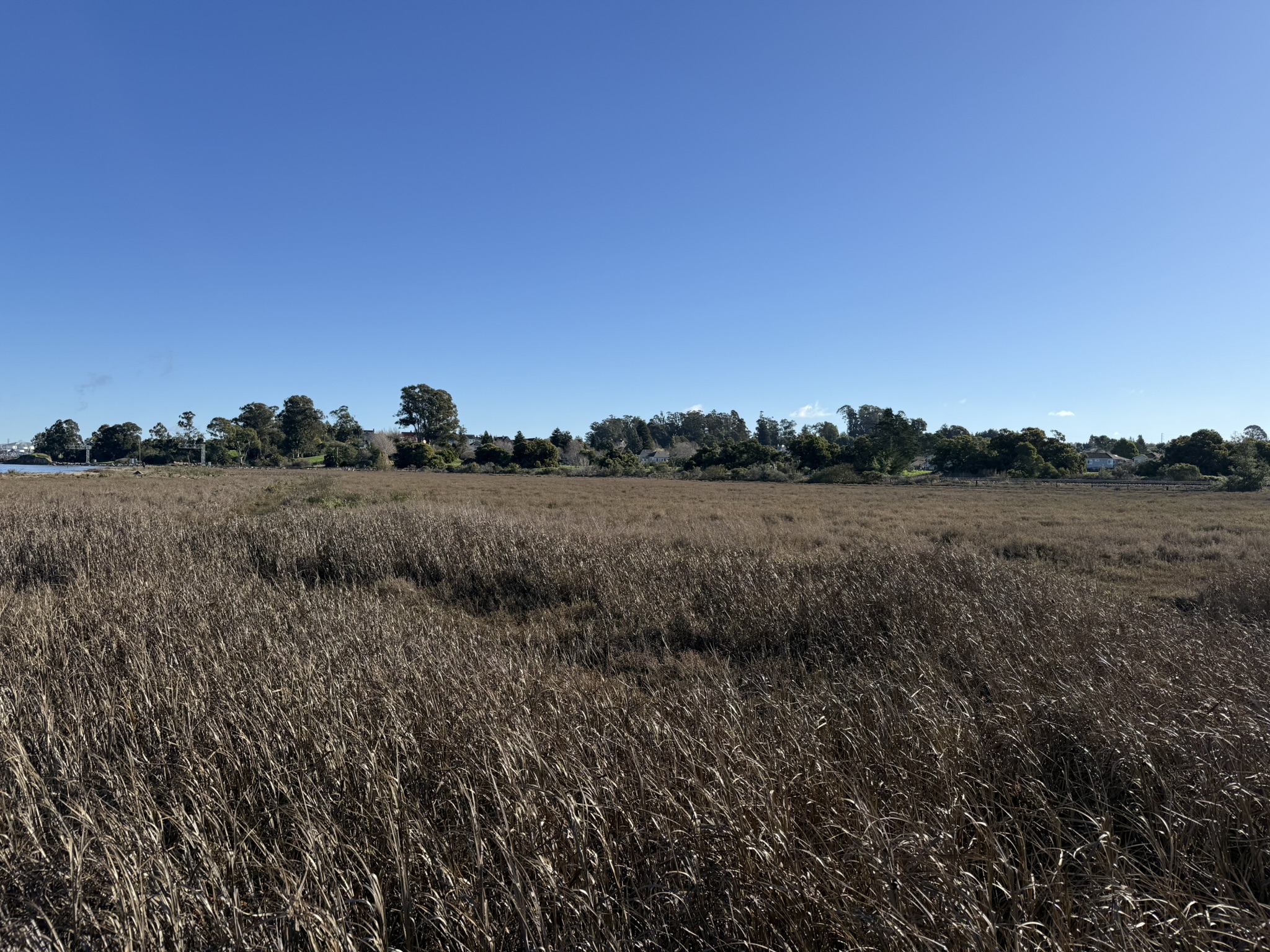 San Pablo Bay Regional Shoreline Trail