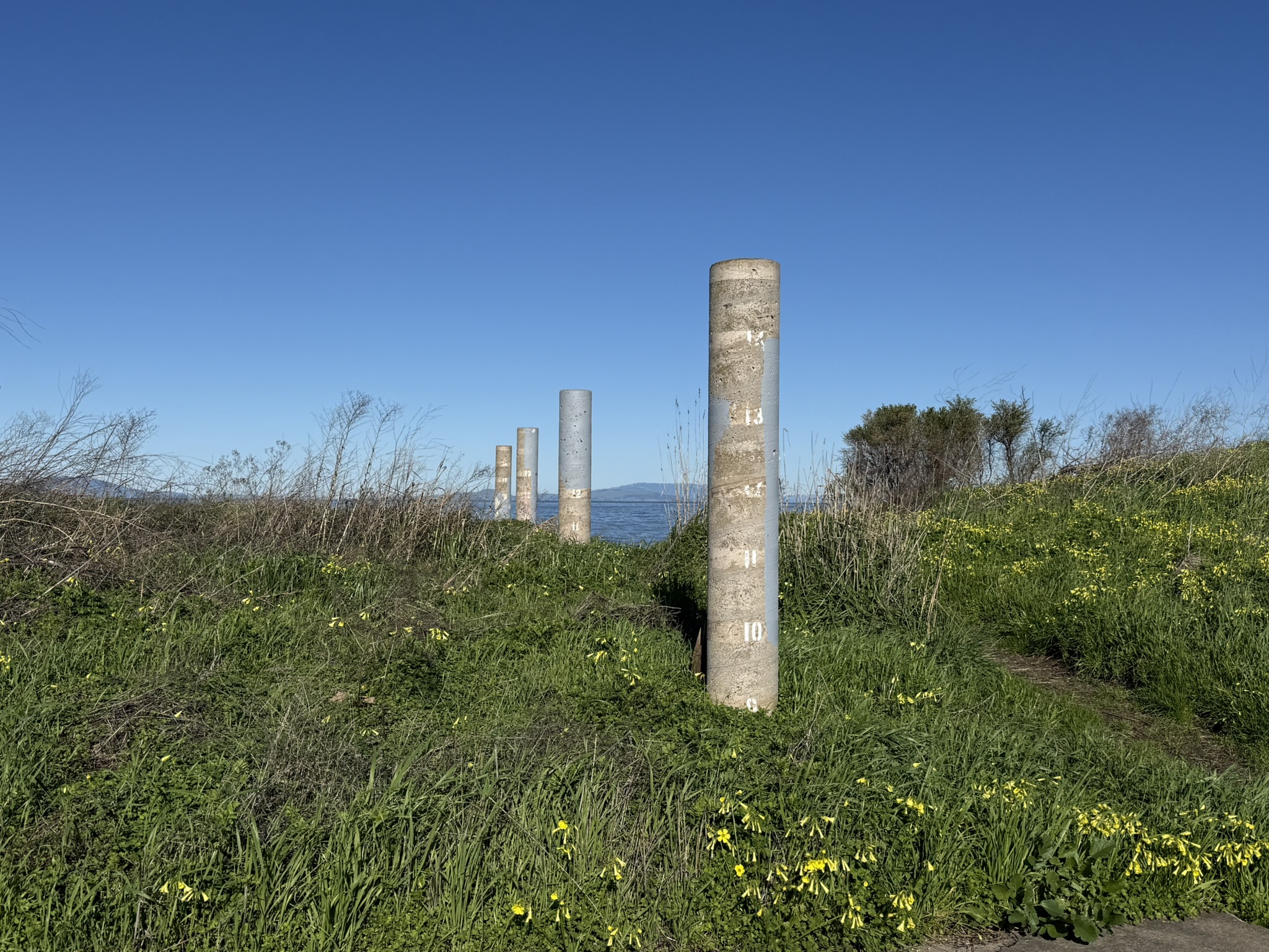 San Pablo Bay Regional Shoreline Trail