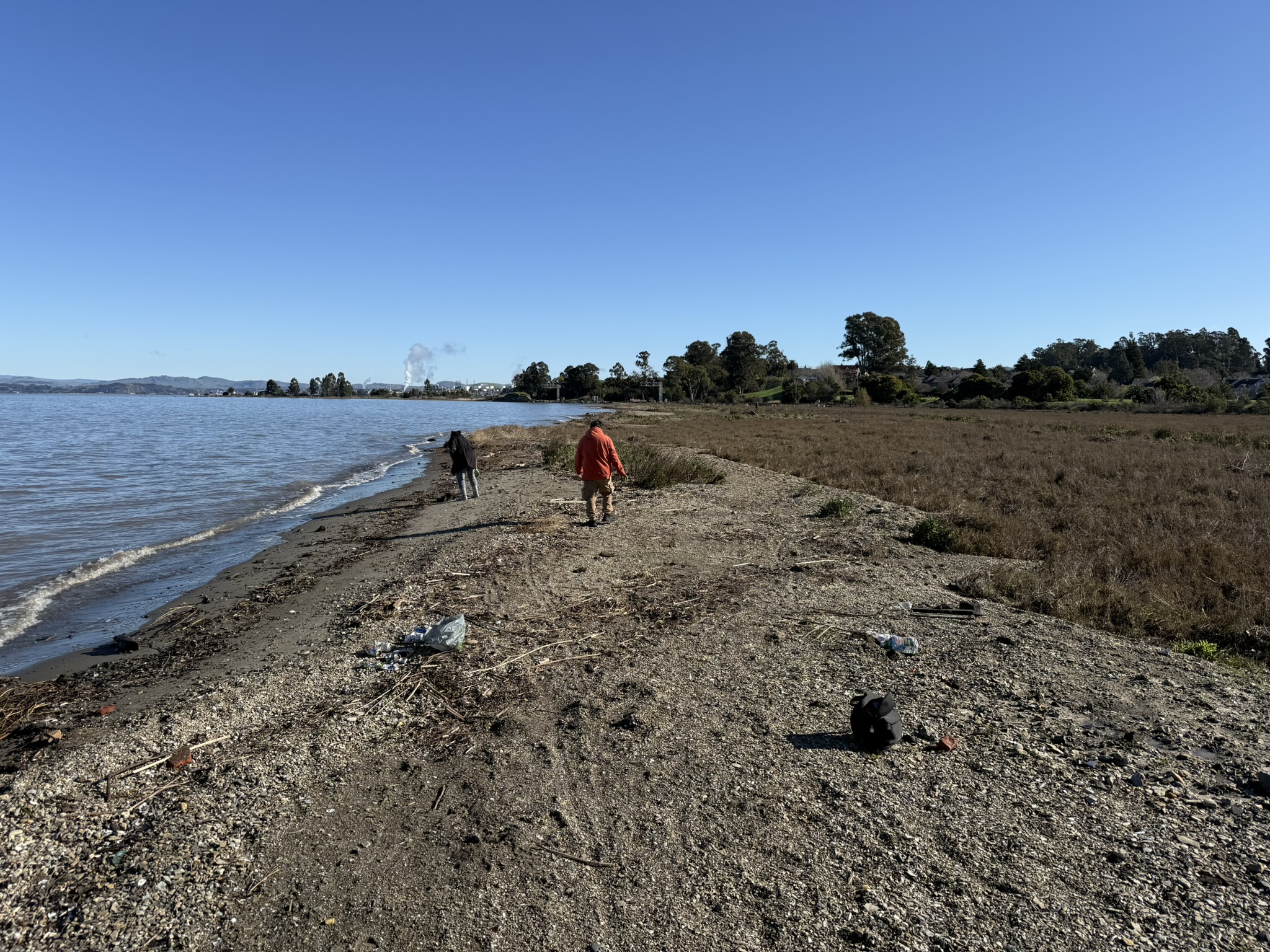 San Pablo Bay Regional Shoreline Trail