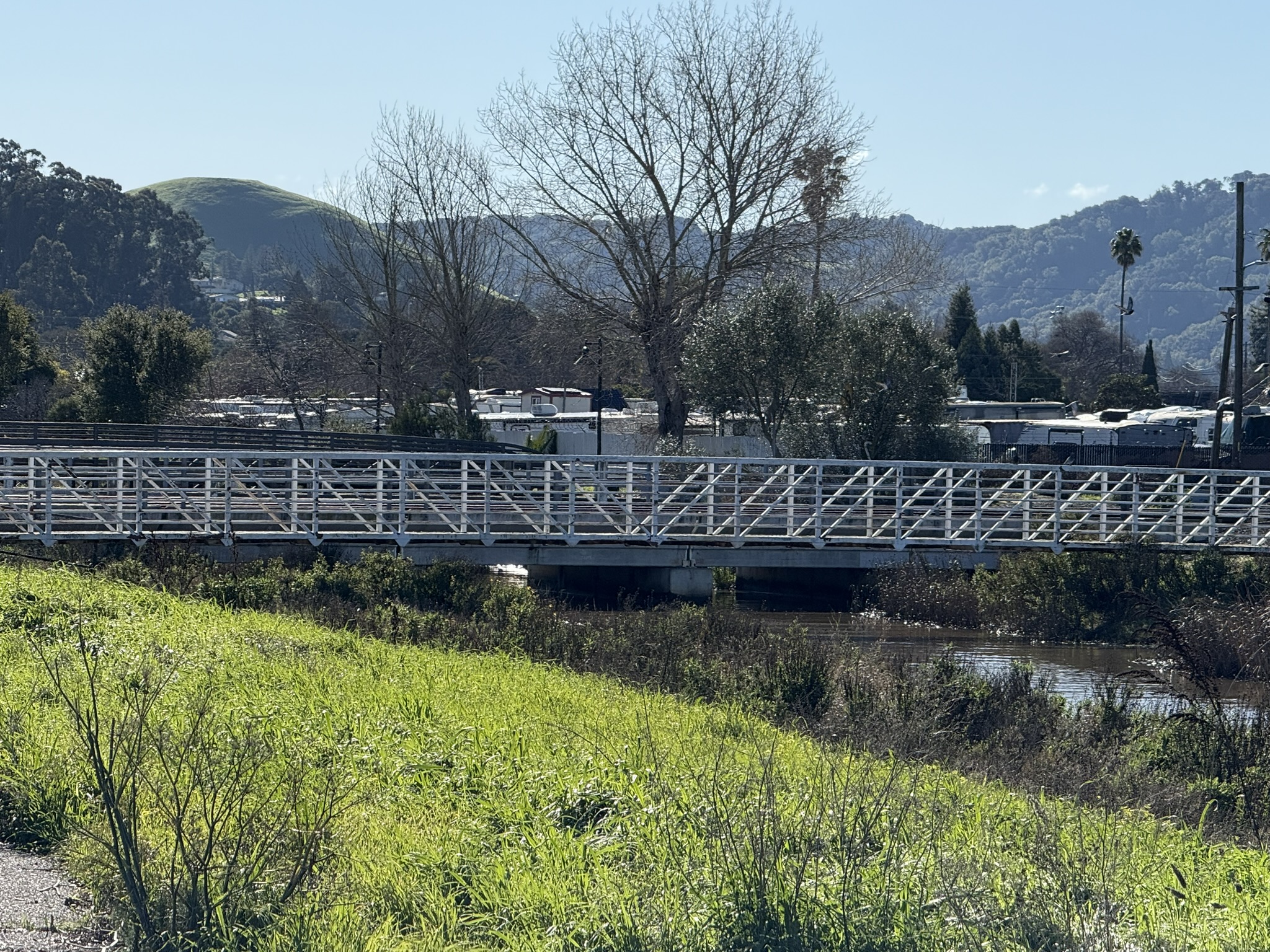 San Pablo Bay Regional Shoreline Trail