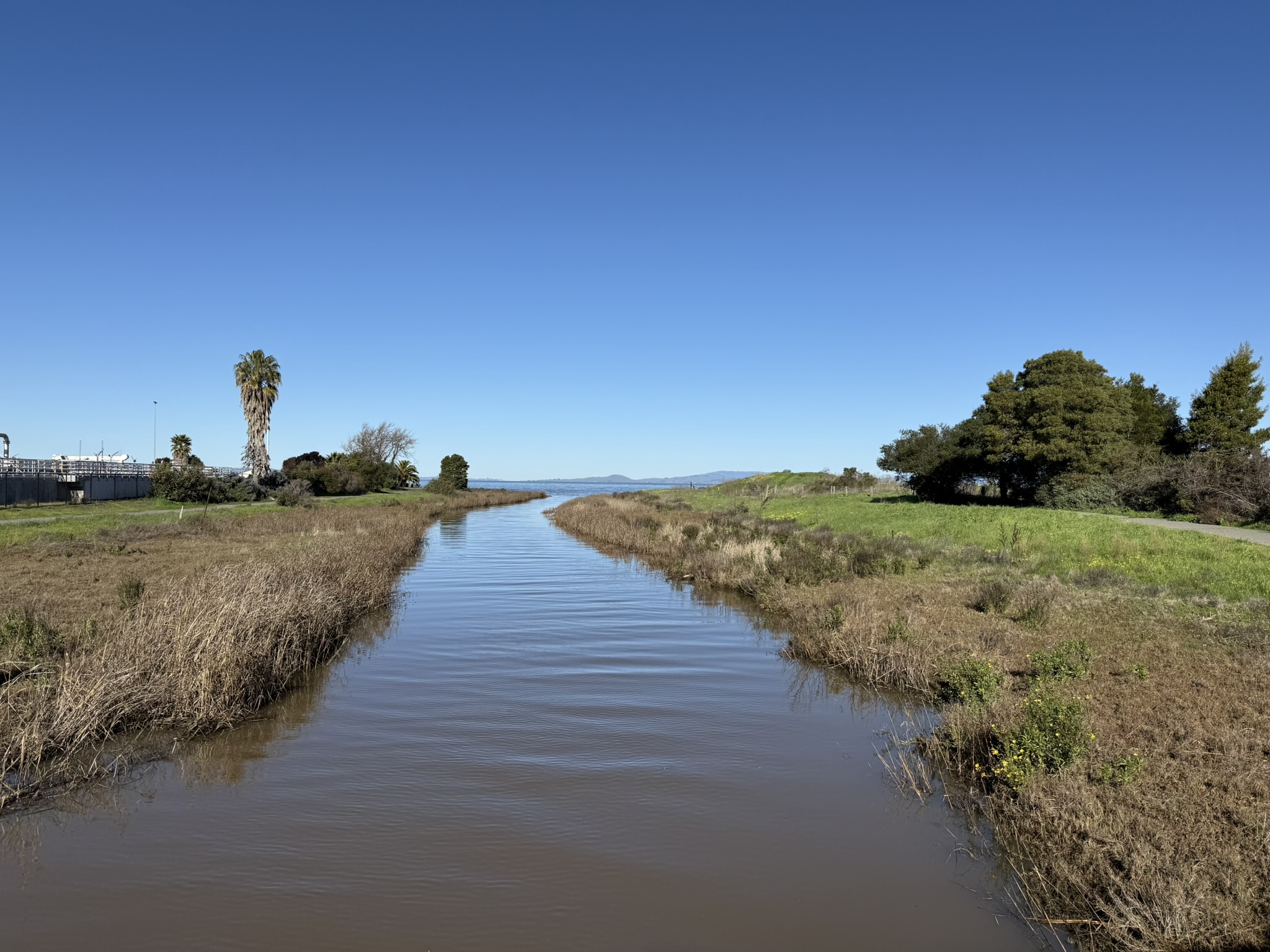 San Pablo Bay Regional Shoreline Trail