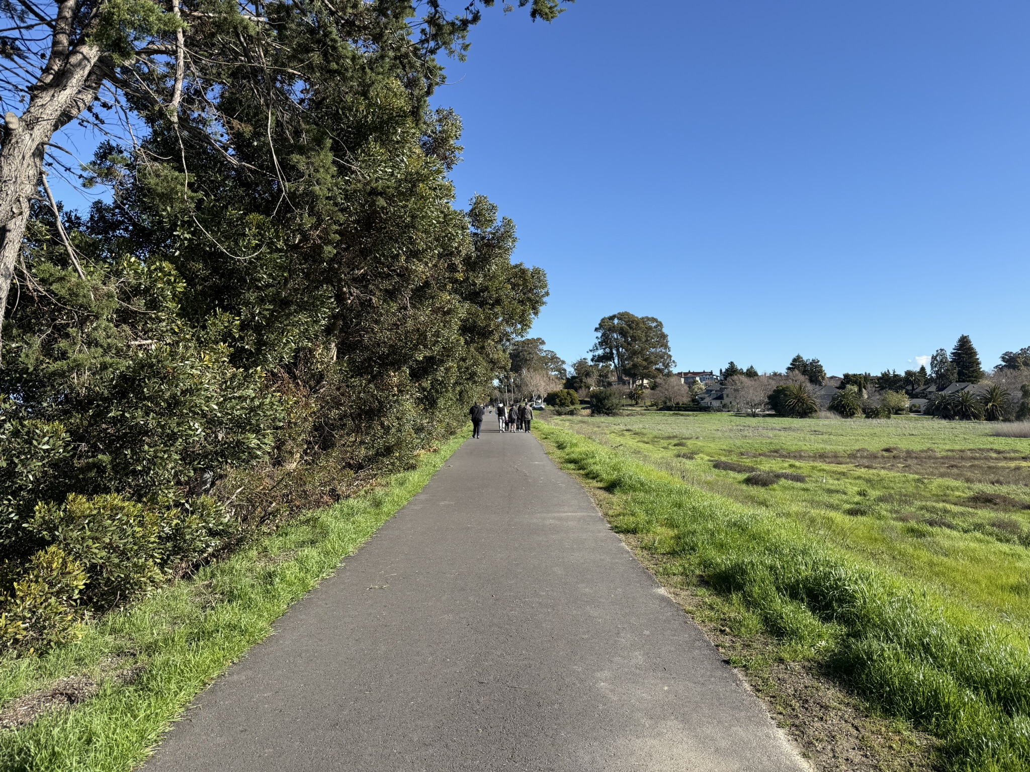 San Pablo Bay Regional Shoreline Trail