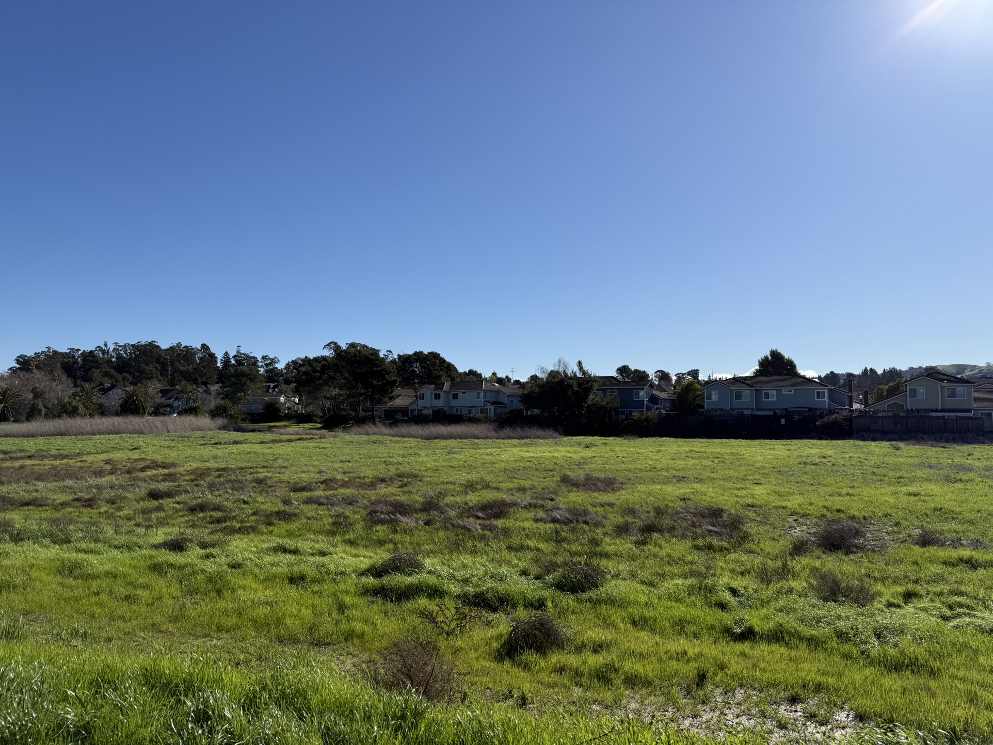 San Pablo Bay Regional Shoreline Trail