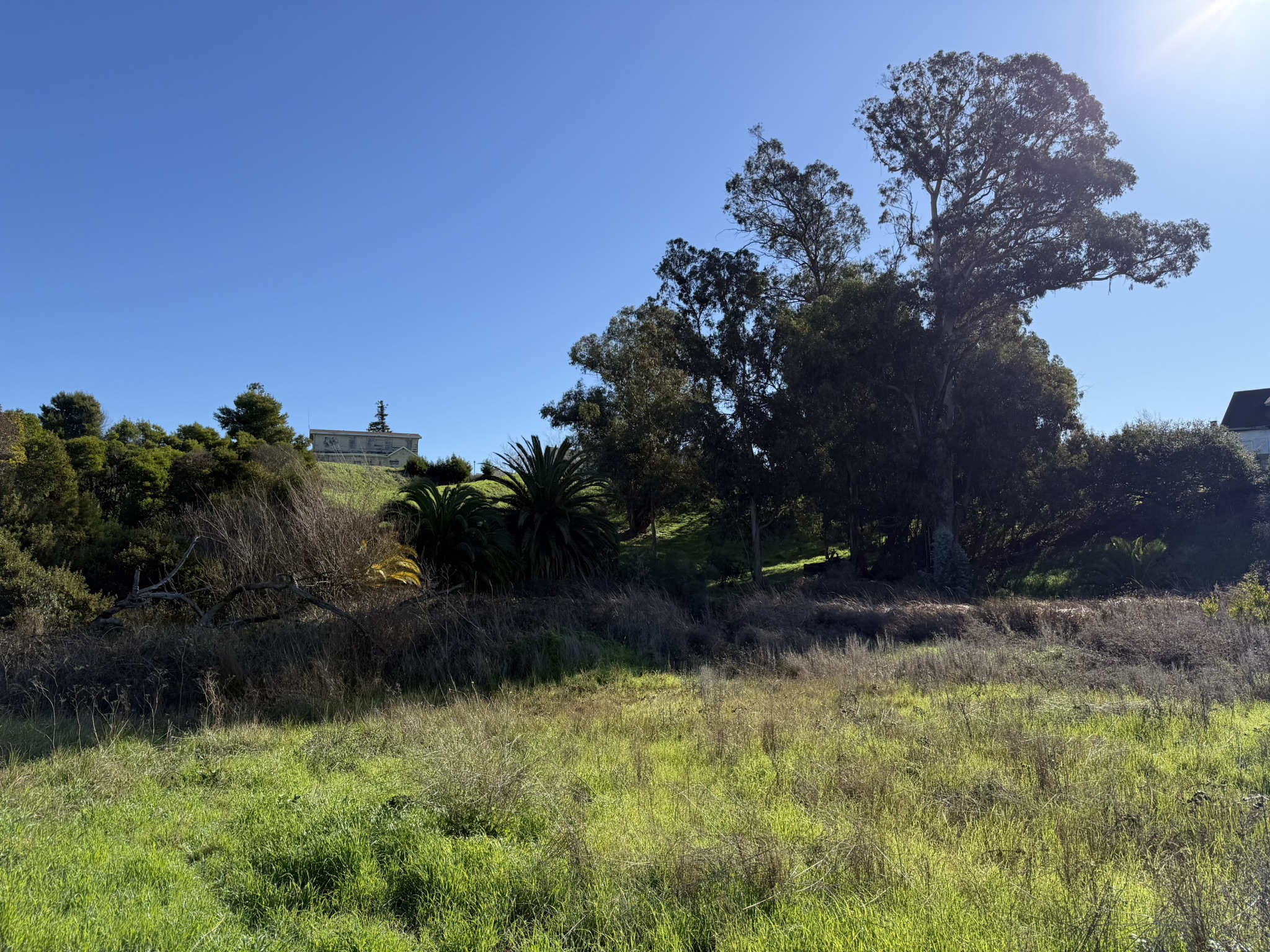 San Pablo Bay Regional Shoreline Trail