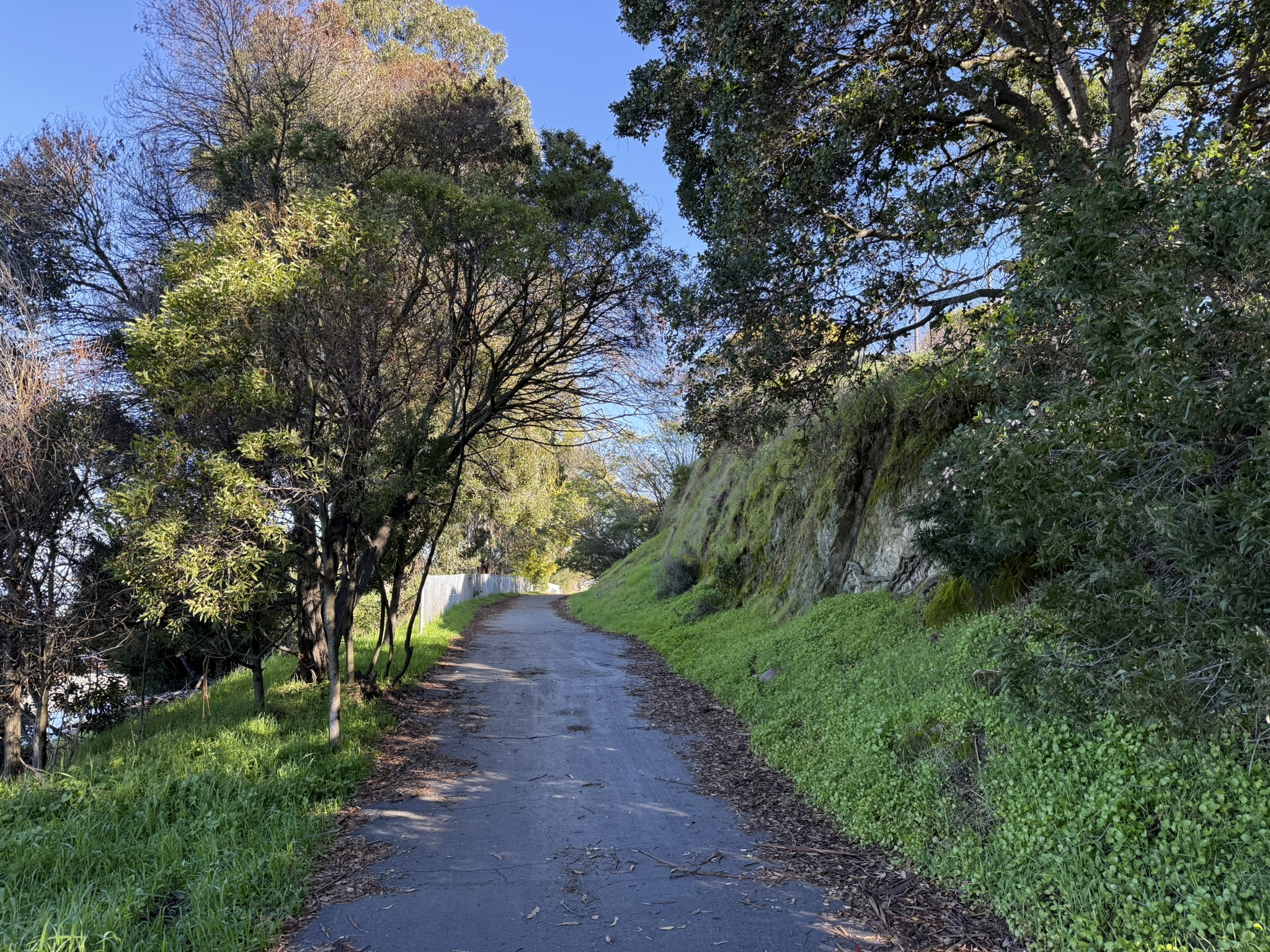 San Pablo Bay Regional Shoreline Trail