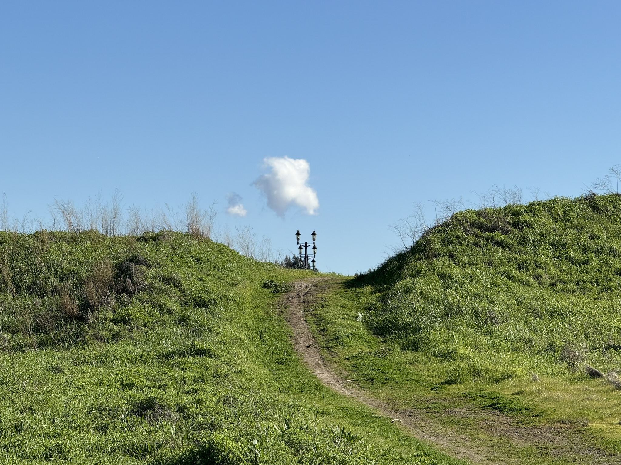 San Pablo Bay Regional Shoreline Trail