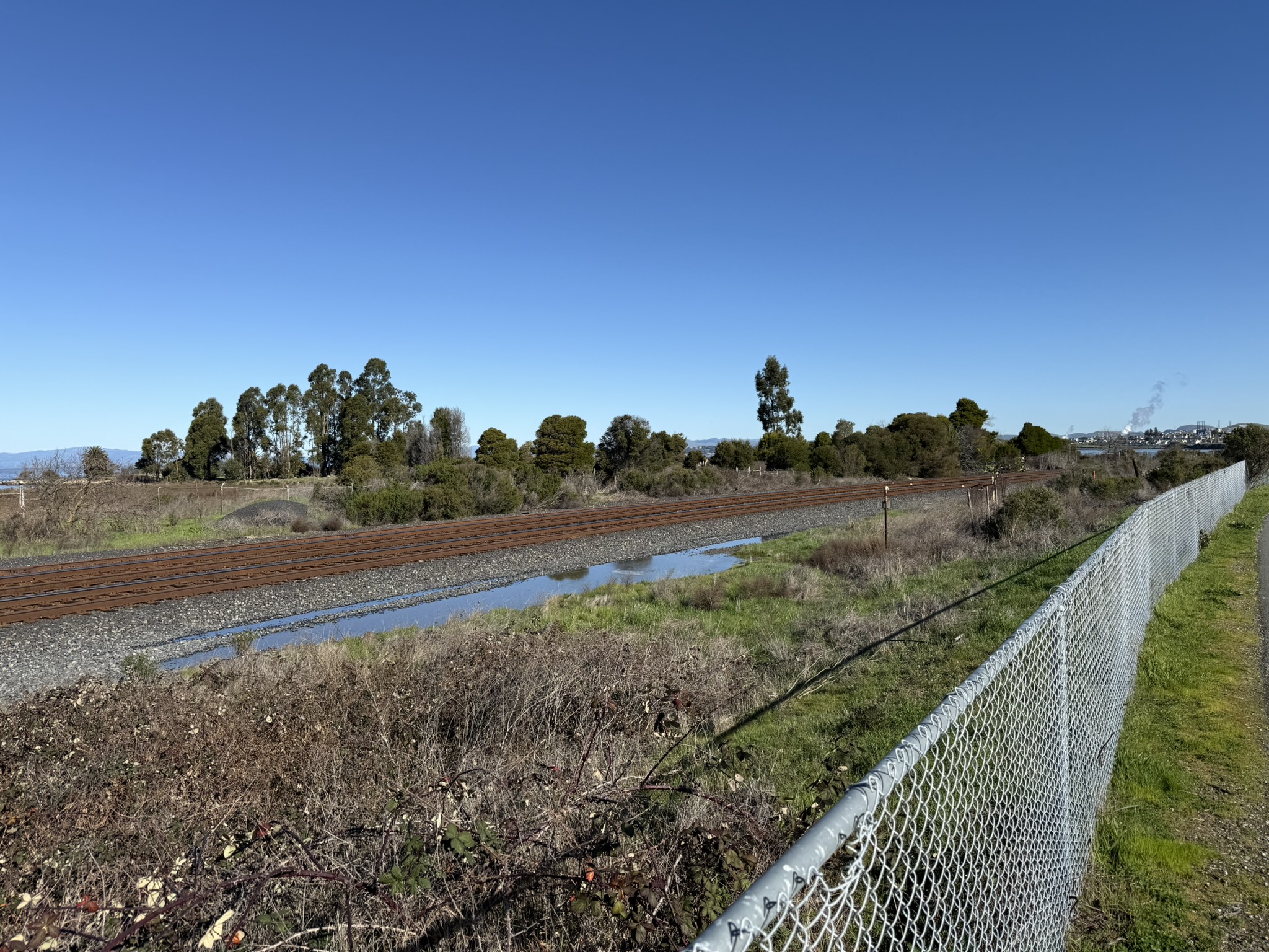 San Pablo Bay Regional Shoreline Trail