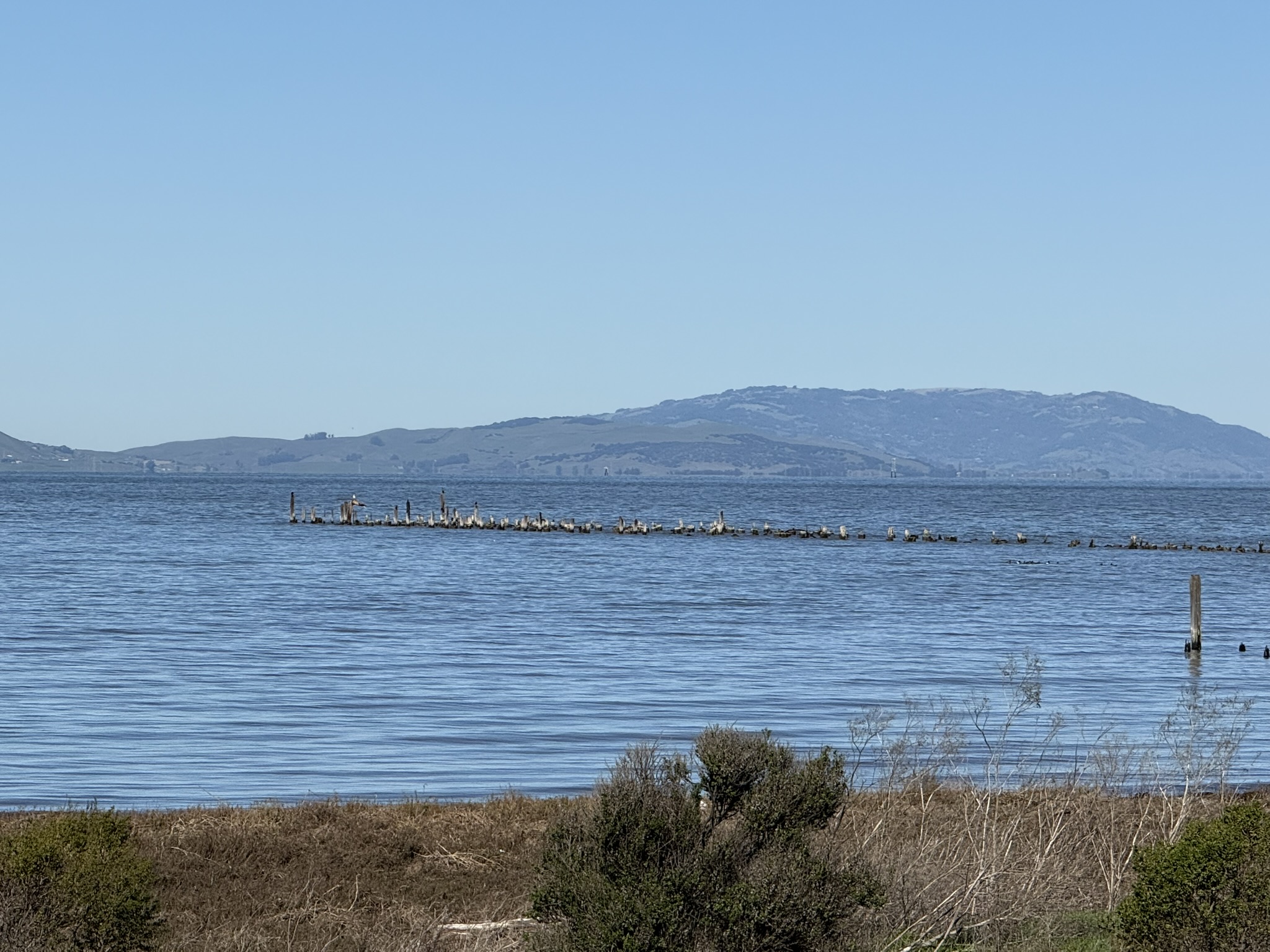 San Pablo Bay Regional Shoreline Trail