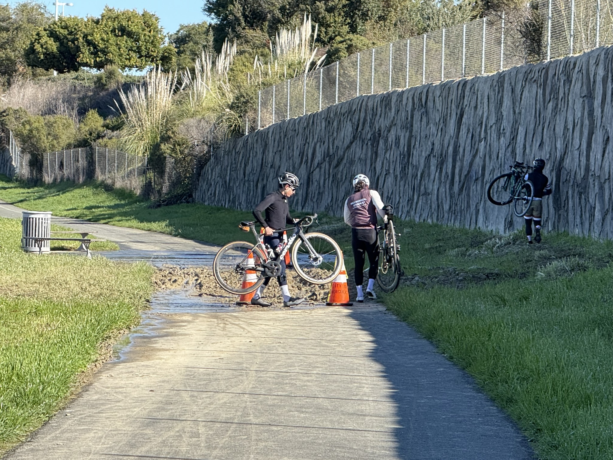 San Pablo Bay Regional Shoreline Trail