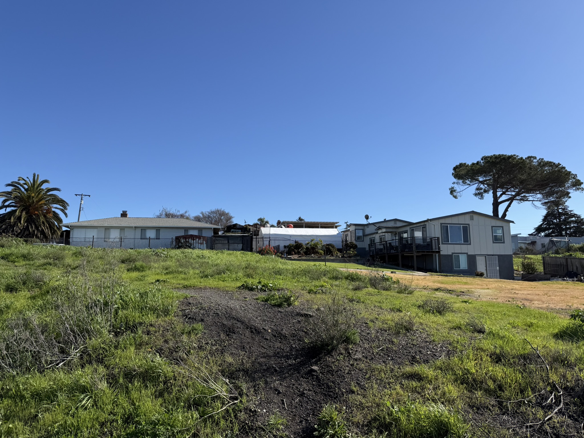 San Pablo Bay Regional Shoreline Trail