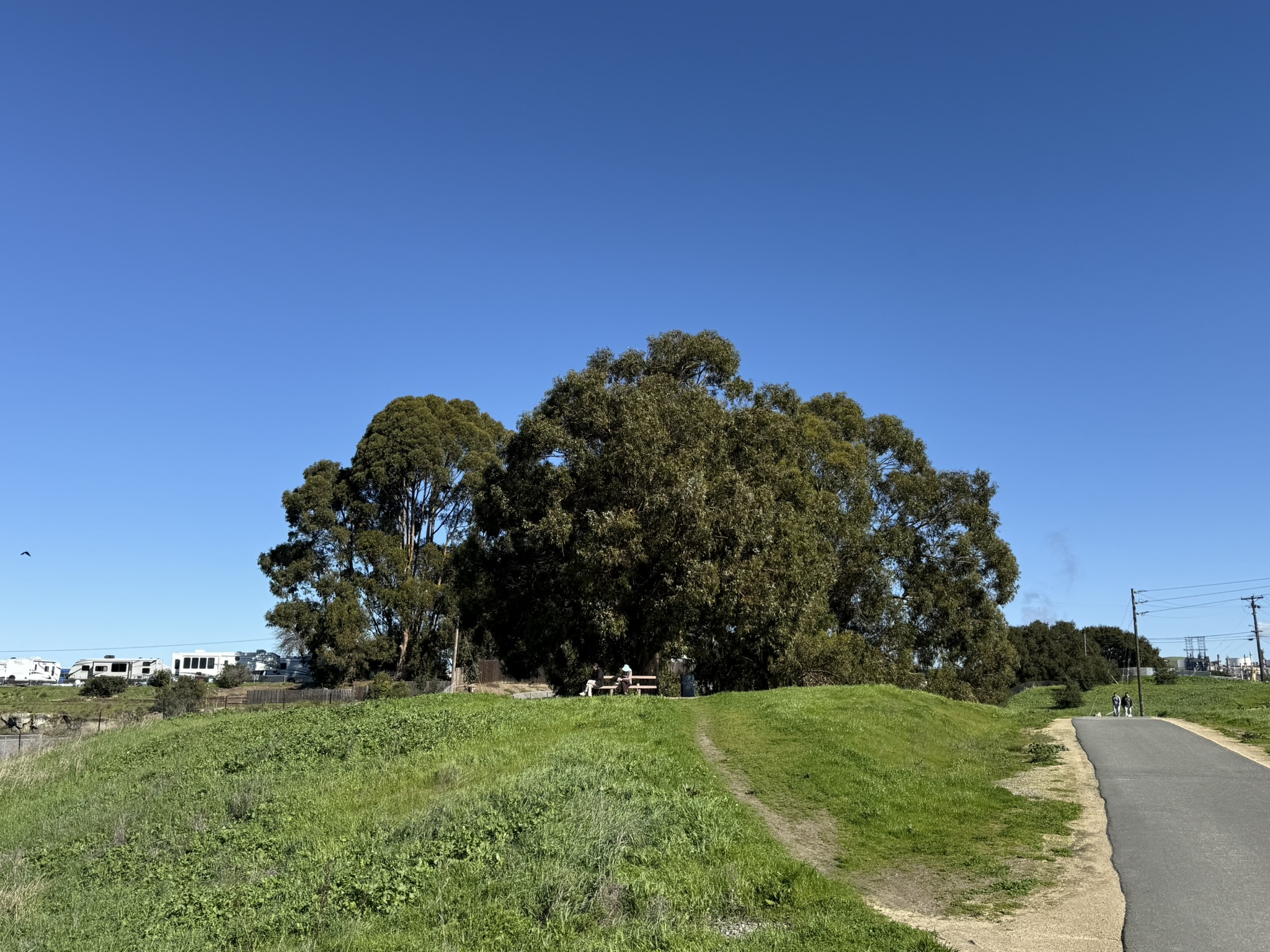 San Pablo Bay Regional Shoreline Trail