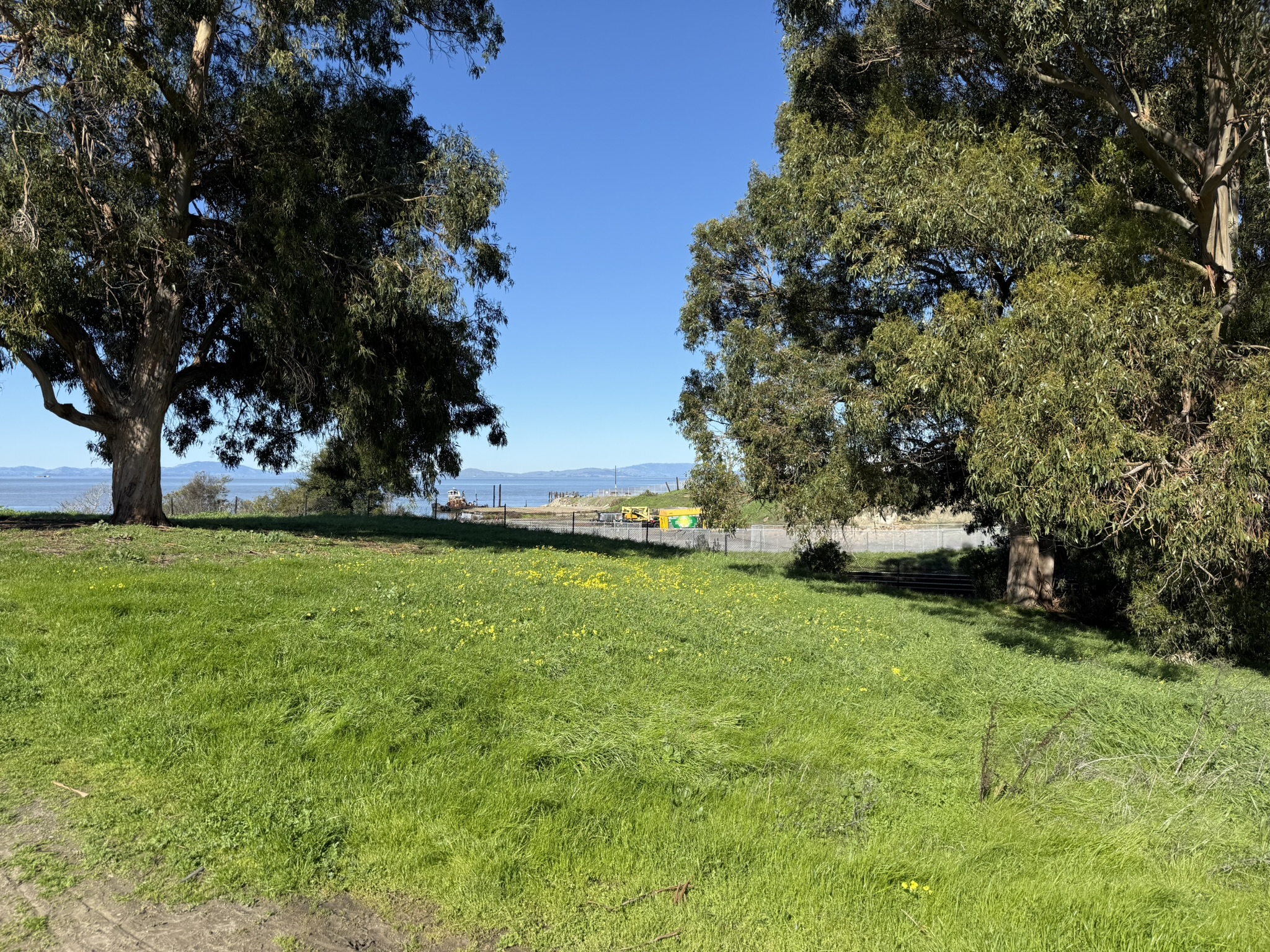 San Pablo Bay Regional Shoreline Trail