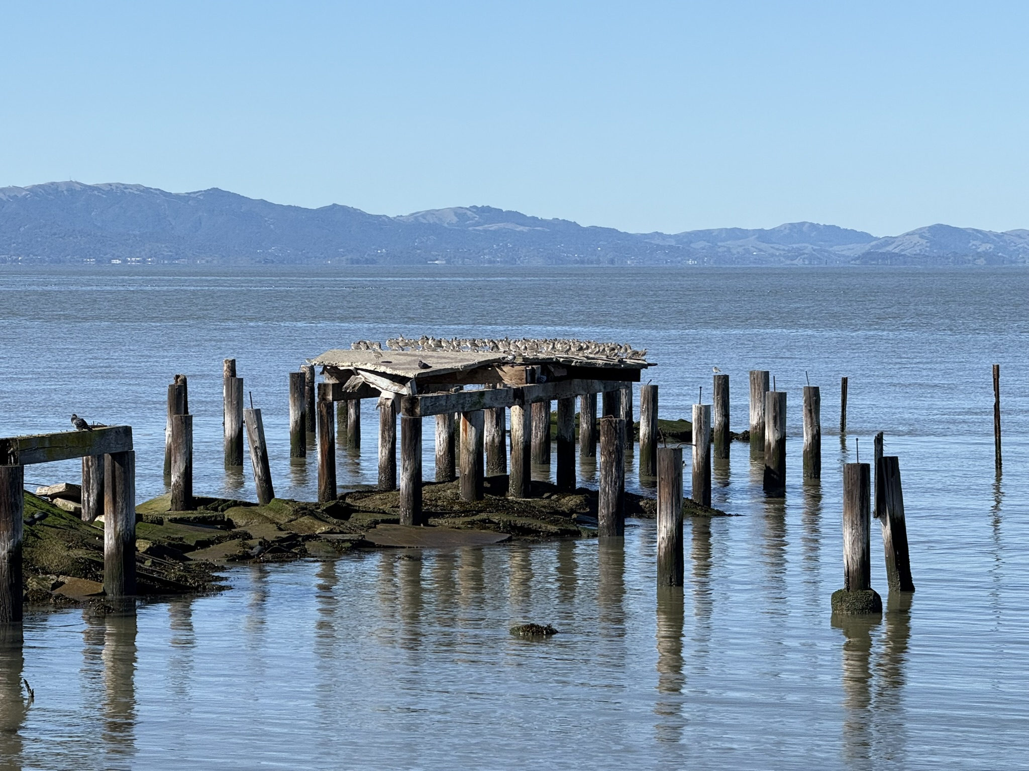 San Pablo Bay Regional Shoreline Trail