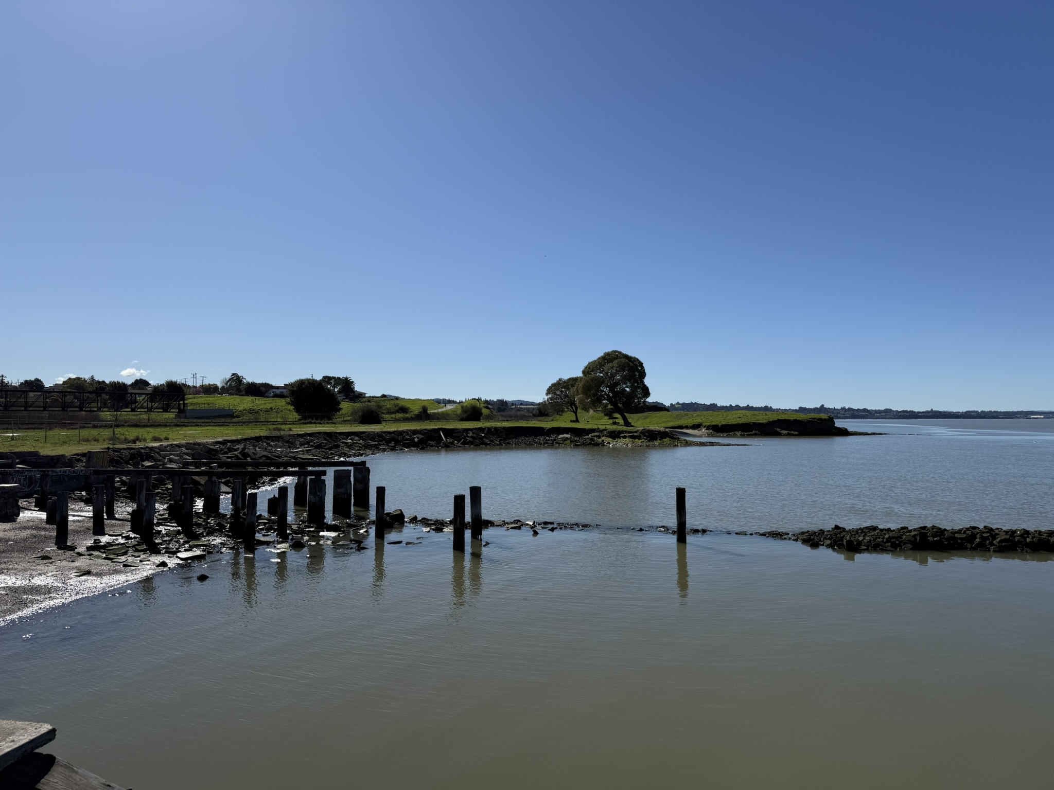 San Pablo Bay Regional Shoreline Trail