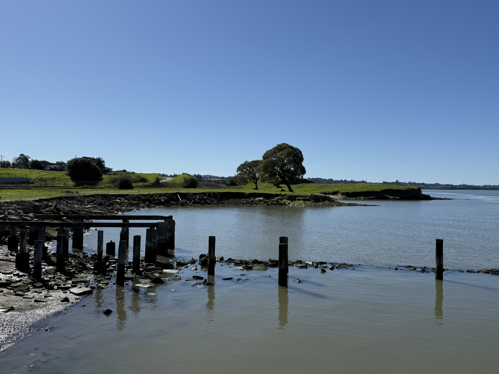 San Pablo Bay Regional Shoreline Trail