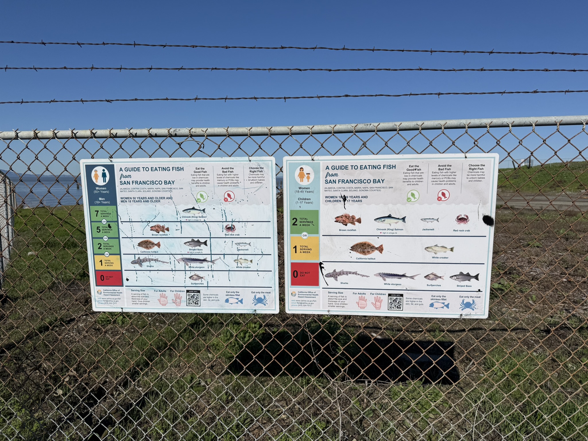 San Pablo Bay Regional Shoreline Trail