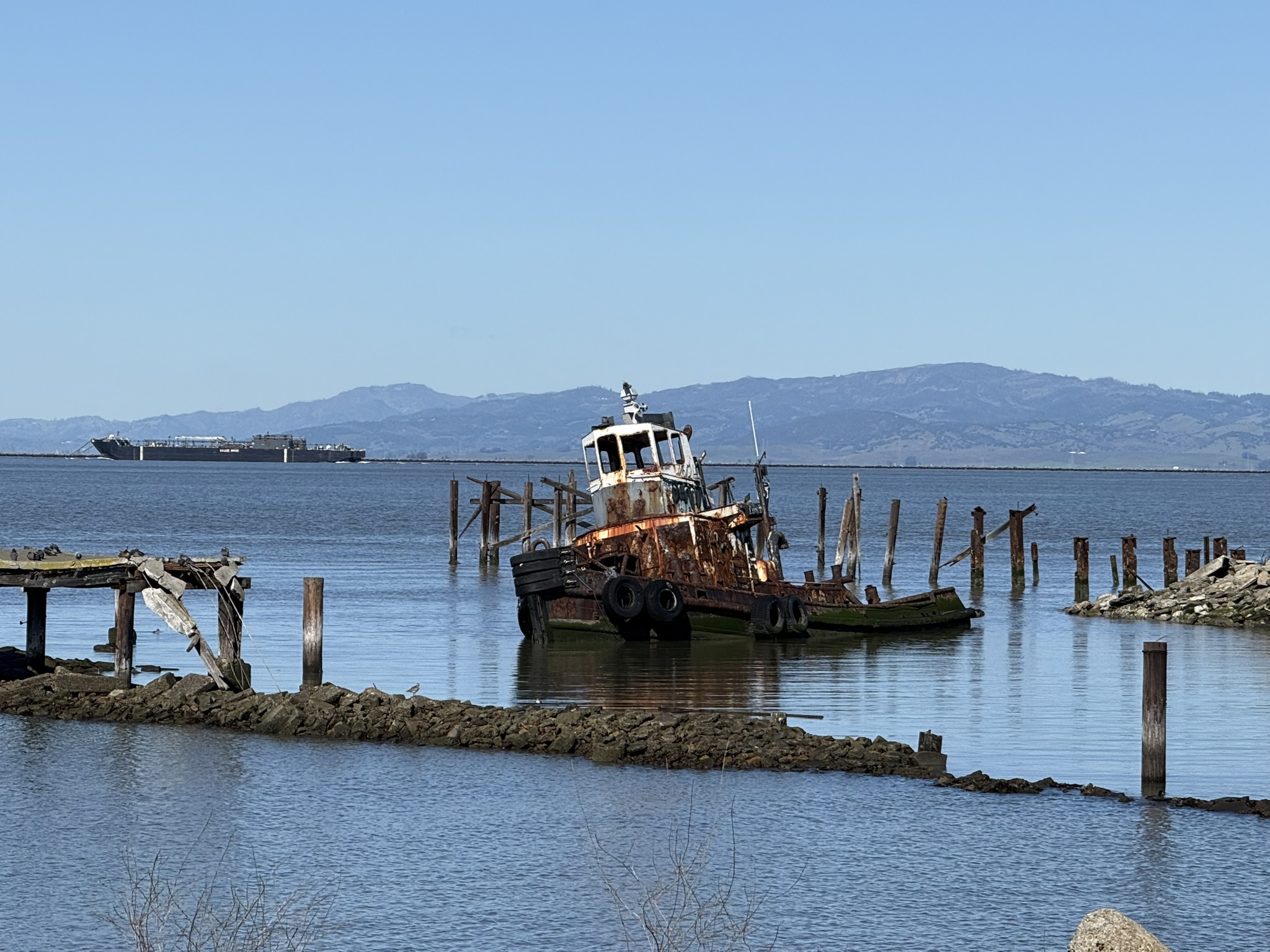 San Pablo Bay Regional Shoreline Trail