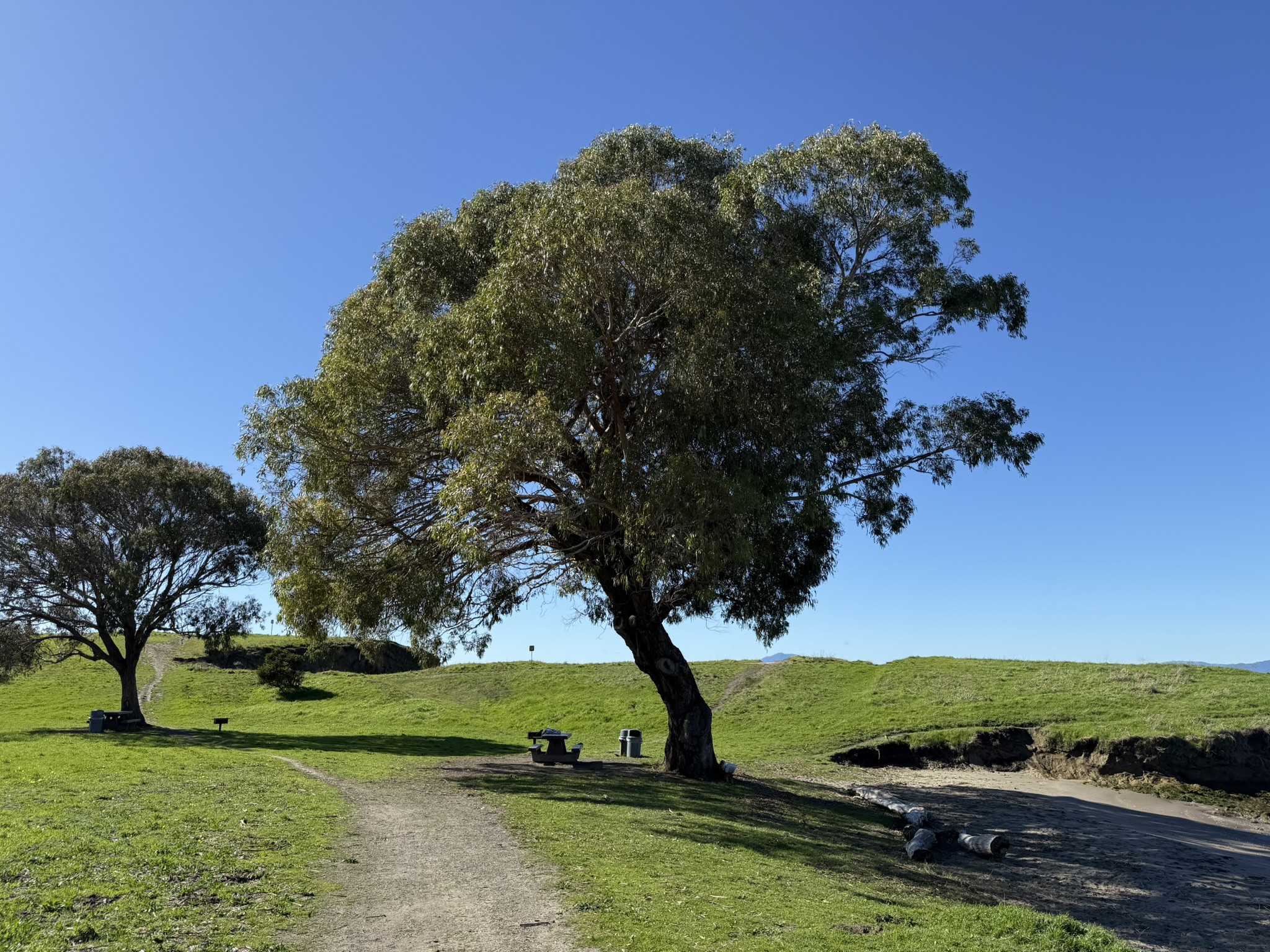 San Pablo Bay Regional Shoreline Trail