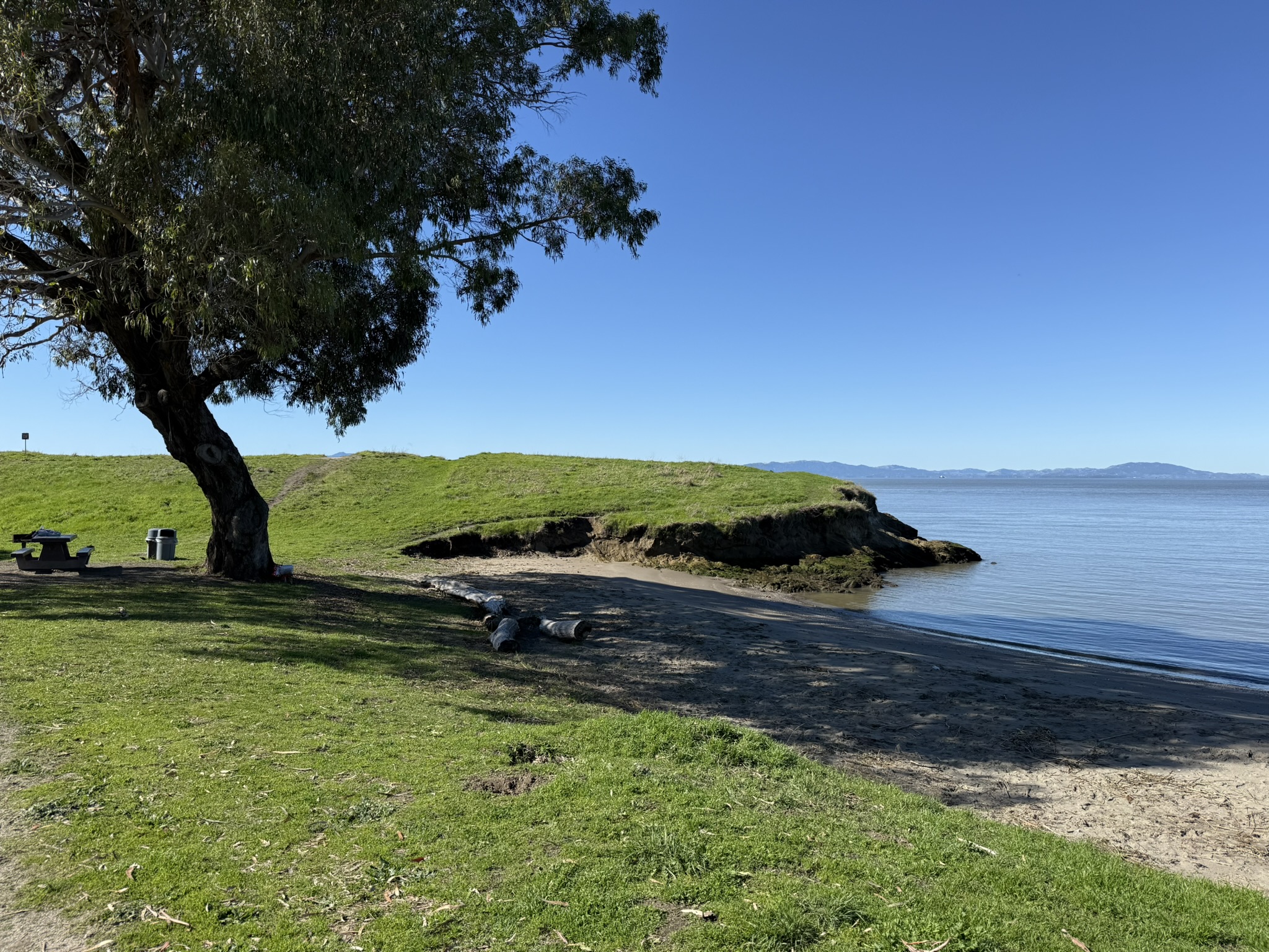 San Pablo Bay Regional Shoreline Trail